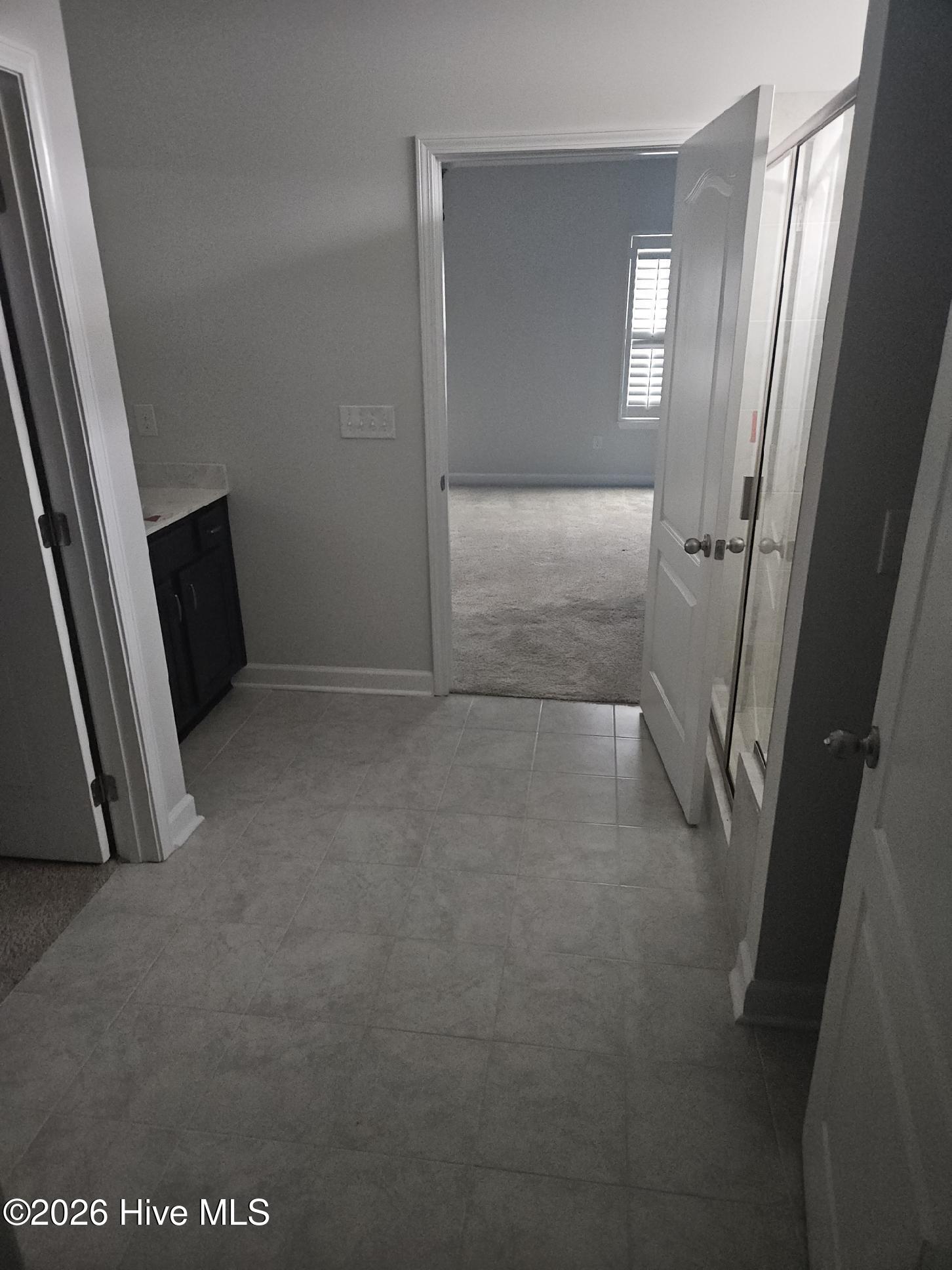 100563283 | Photo 30