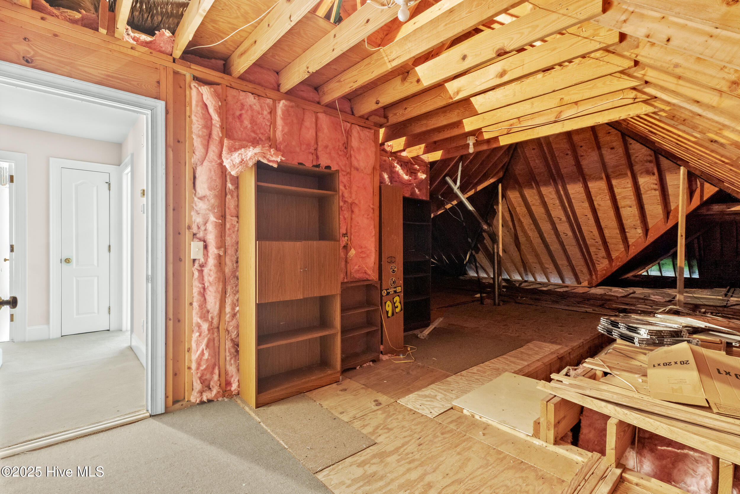 100516126 | Photo 50