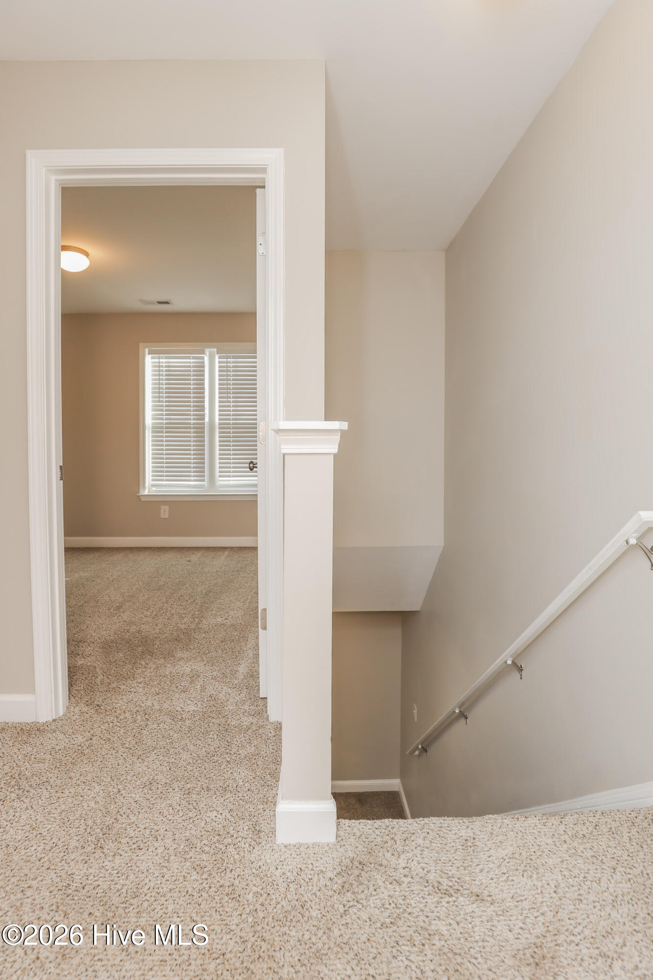106 Blueberry Fields Road, Maple Hill, NC 28454 – photo 22: 229A1706