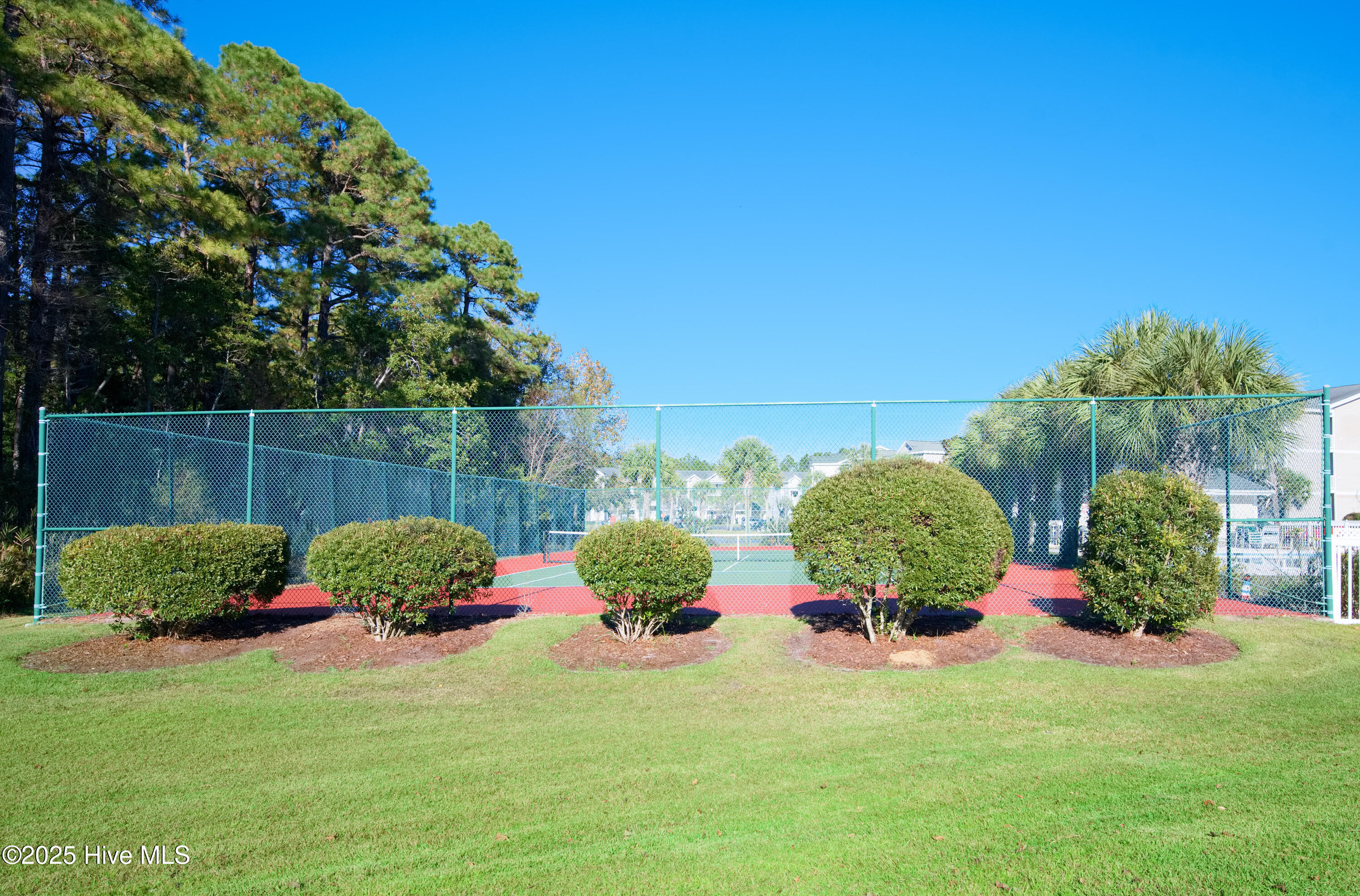 100546410 | Photo 42