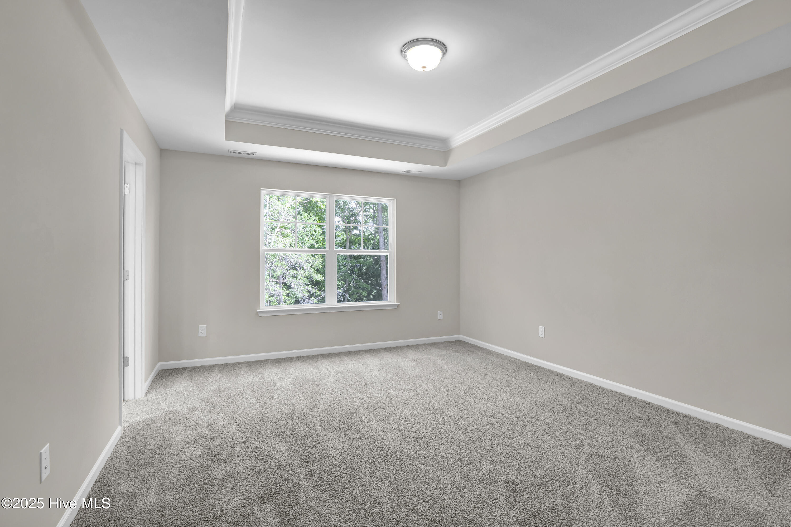 100514629 | Photo 14