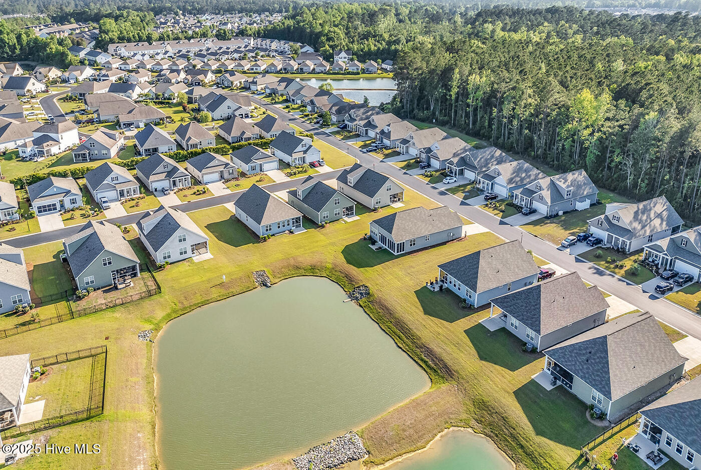 100547571 | Photo 50