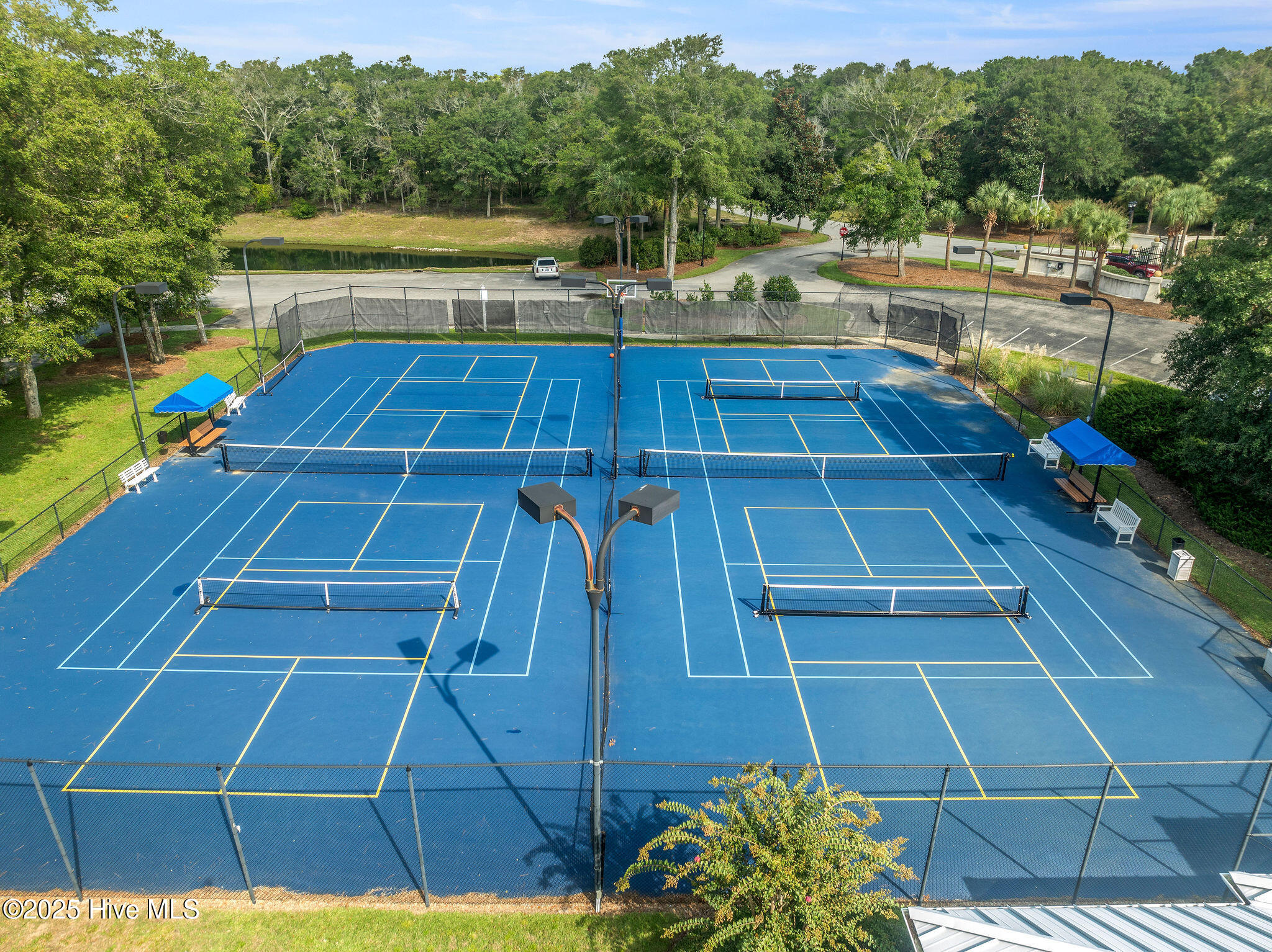 100518785 | Photo 39