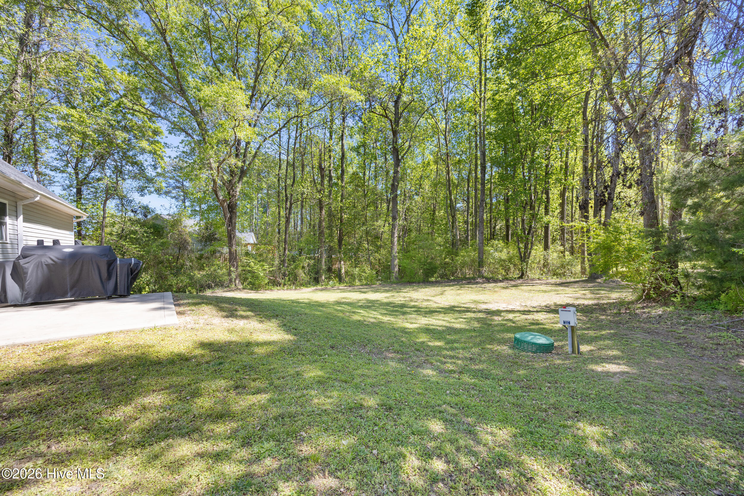 100566907 | Photo 41