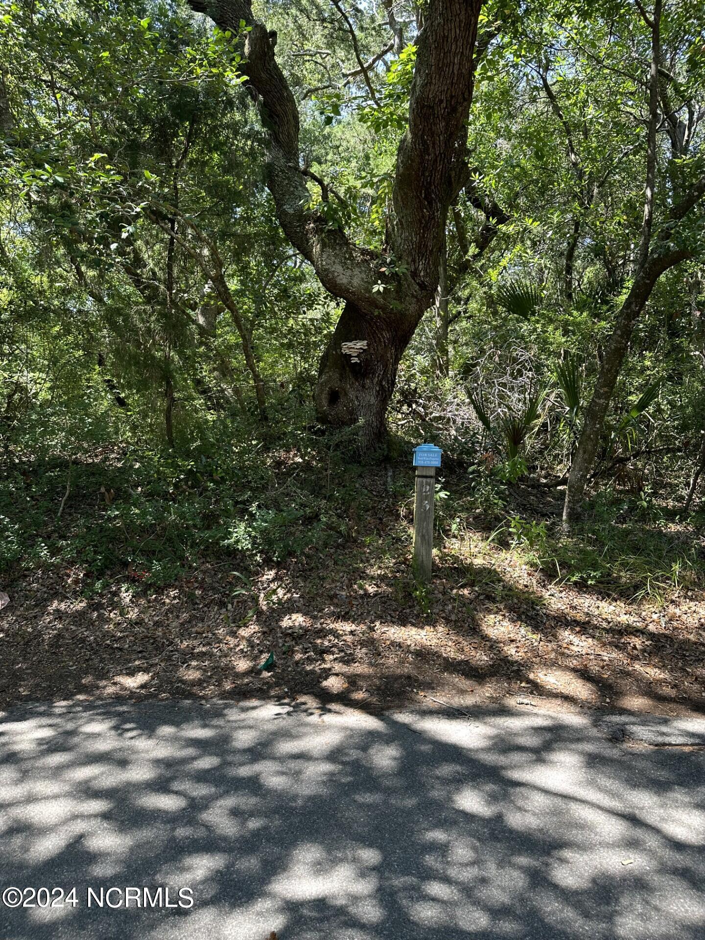 Homes for sale in Bald Head Island, NC | 23 Three Flipper Trl, Bald Head Island, NC 28461 | MLS# 100464009