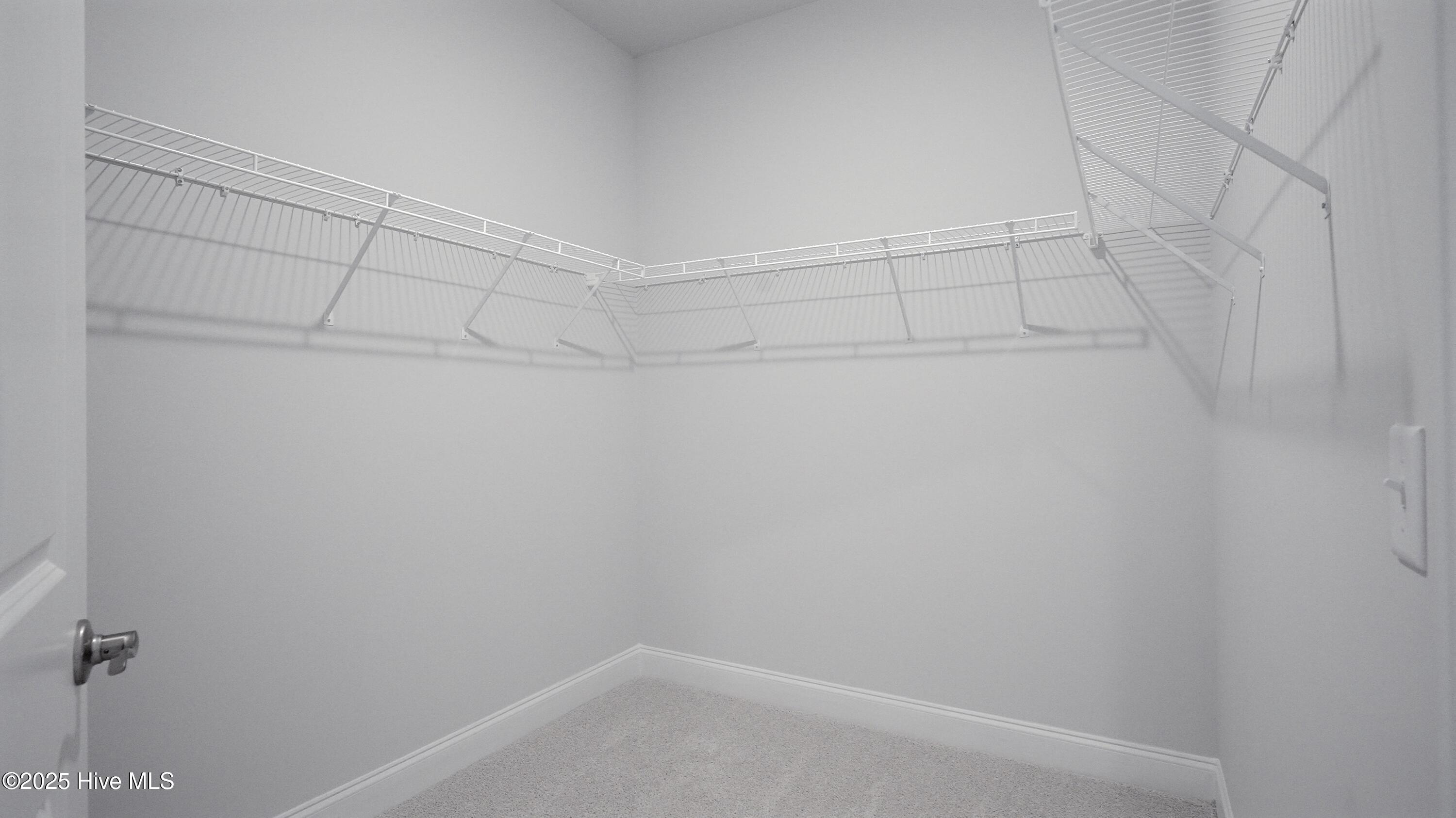 100457591 | Photo 19