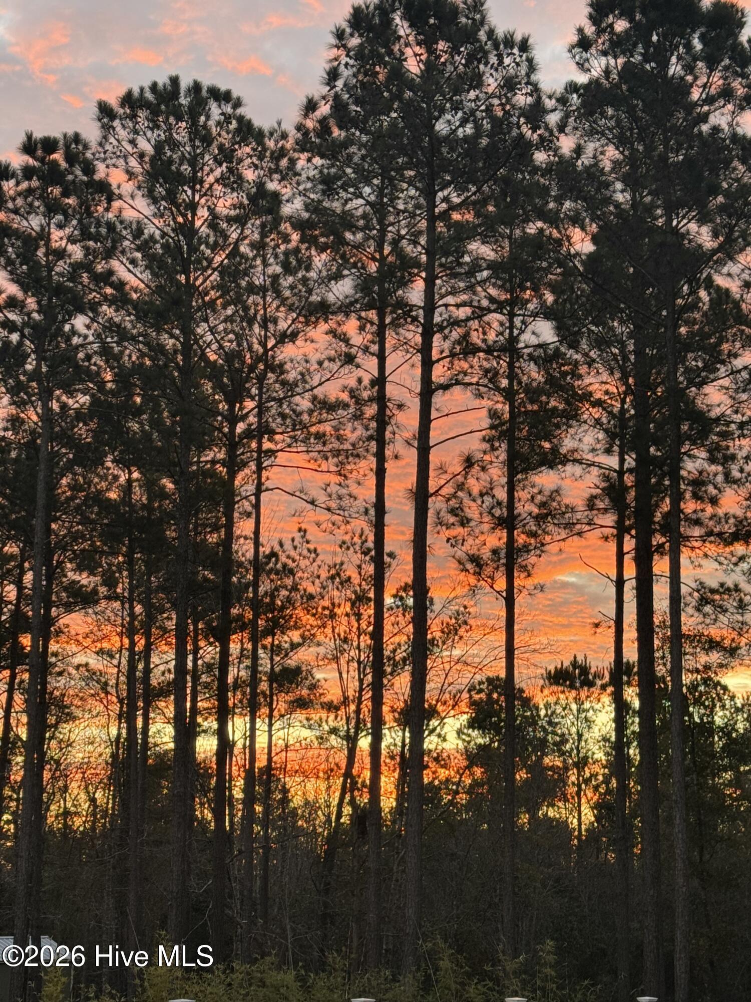 100562109 | Photo 104