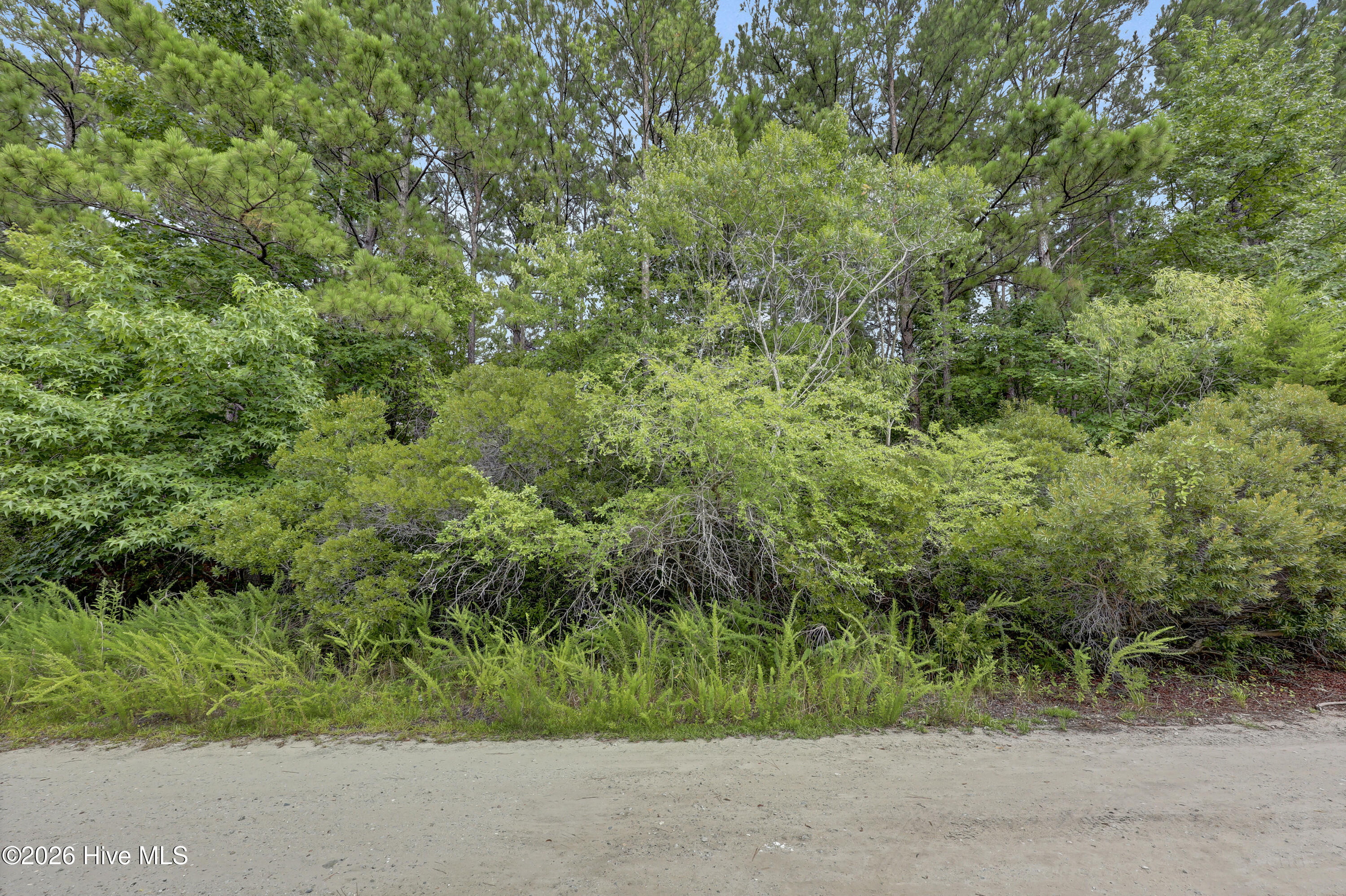 100590200 | Photo 43