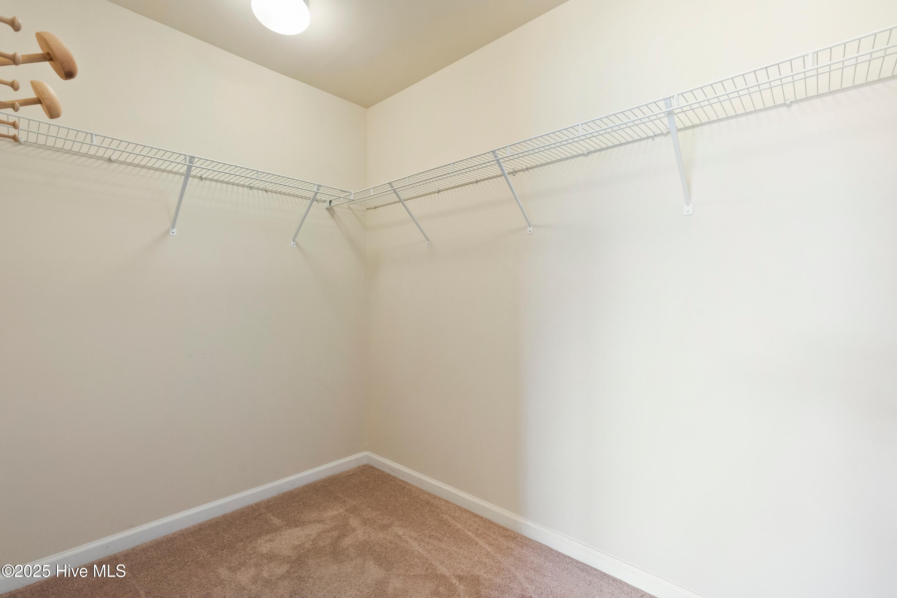 100525343 | Photo 16