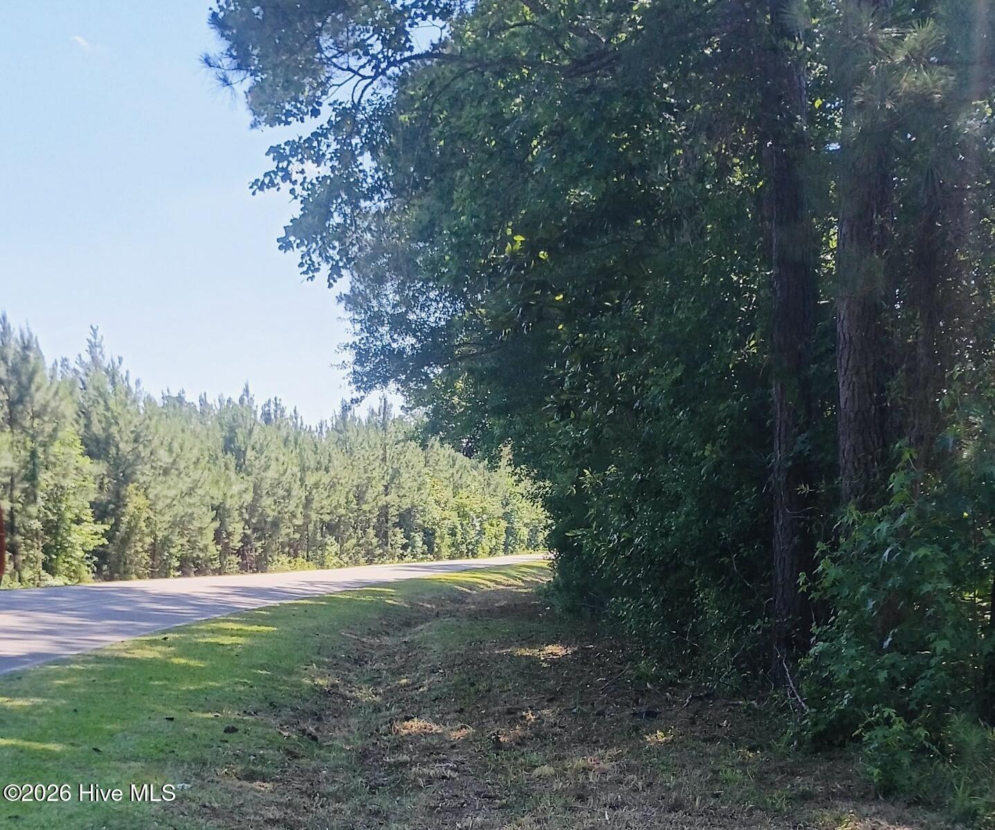 3rd image of 0 Point Caswell Rd Rd, Atkinson, NC 28421 | MLS# 100591684