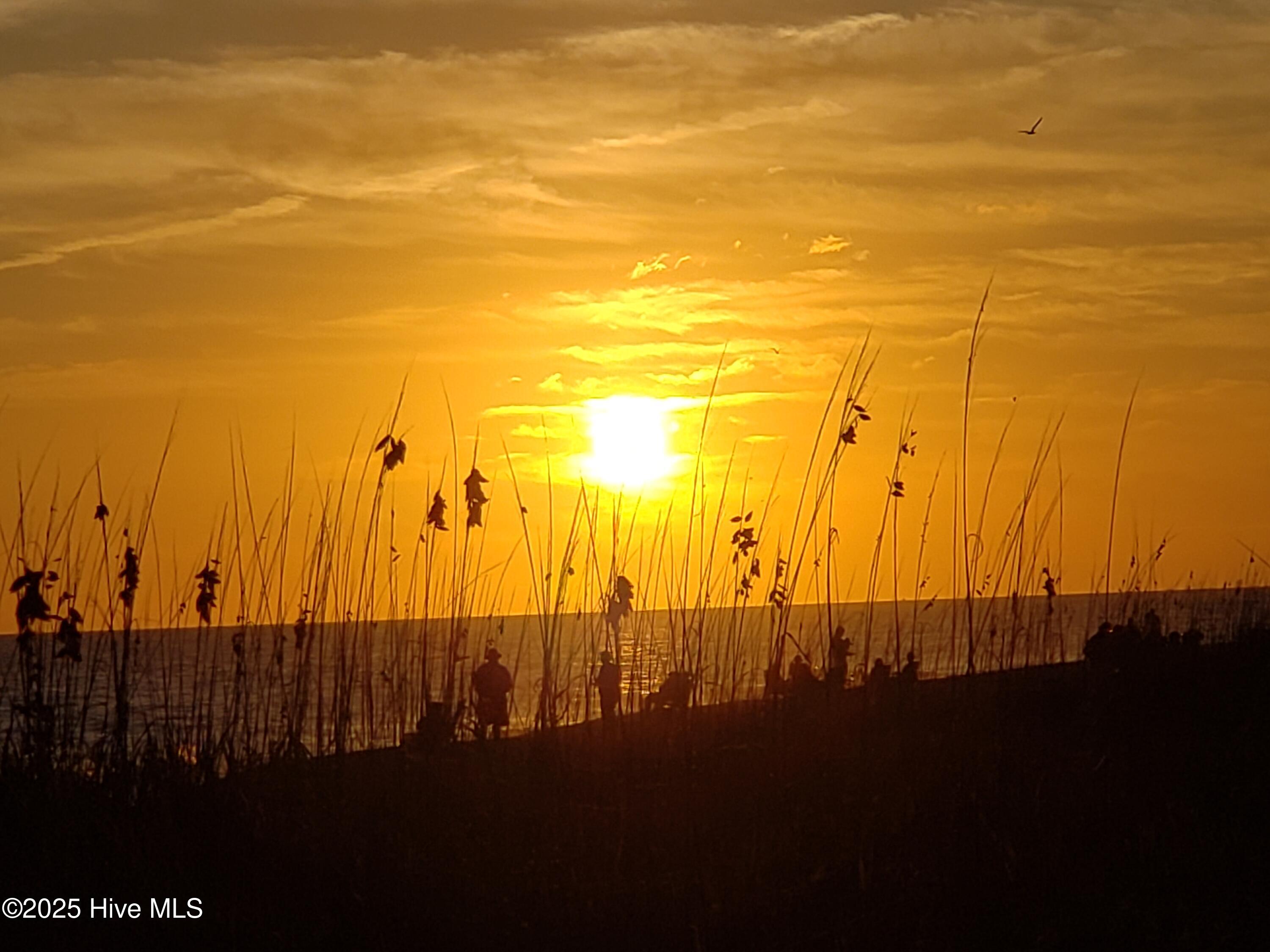 100541150 | Photo 69