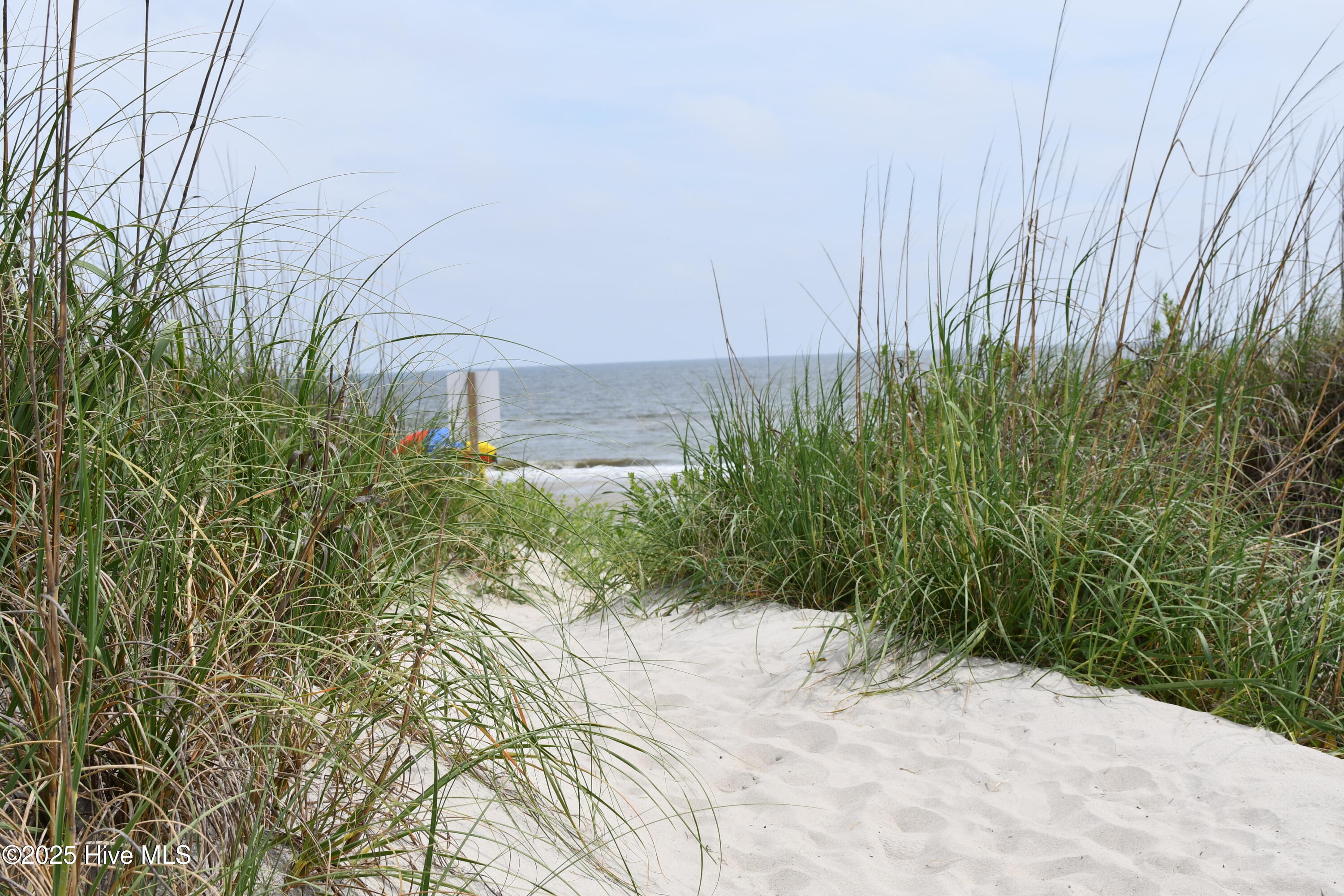 100564186 | Photo 26