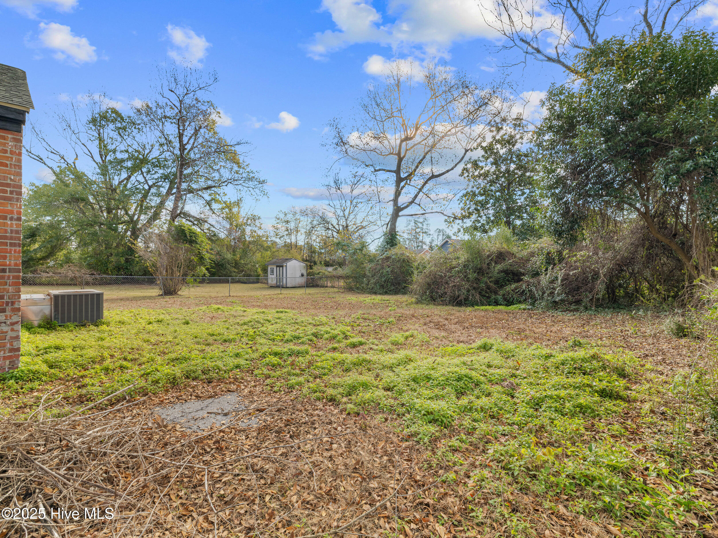 100545039 | Photo 39