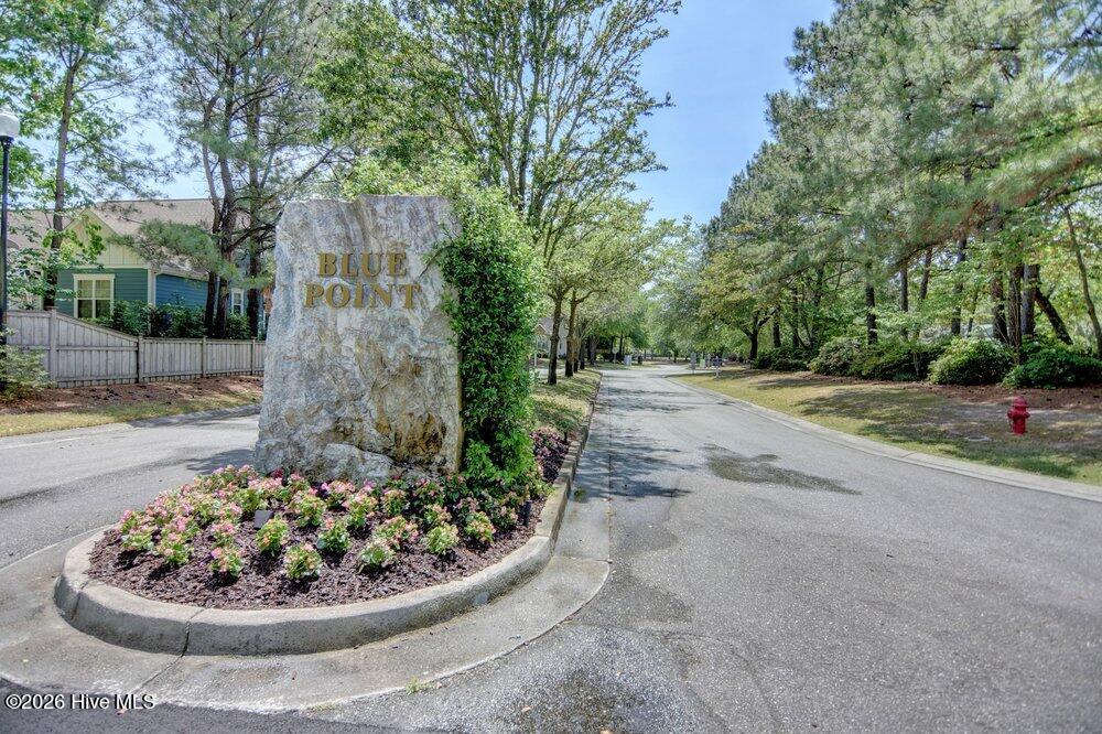 100558547 | Photo 50