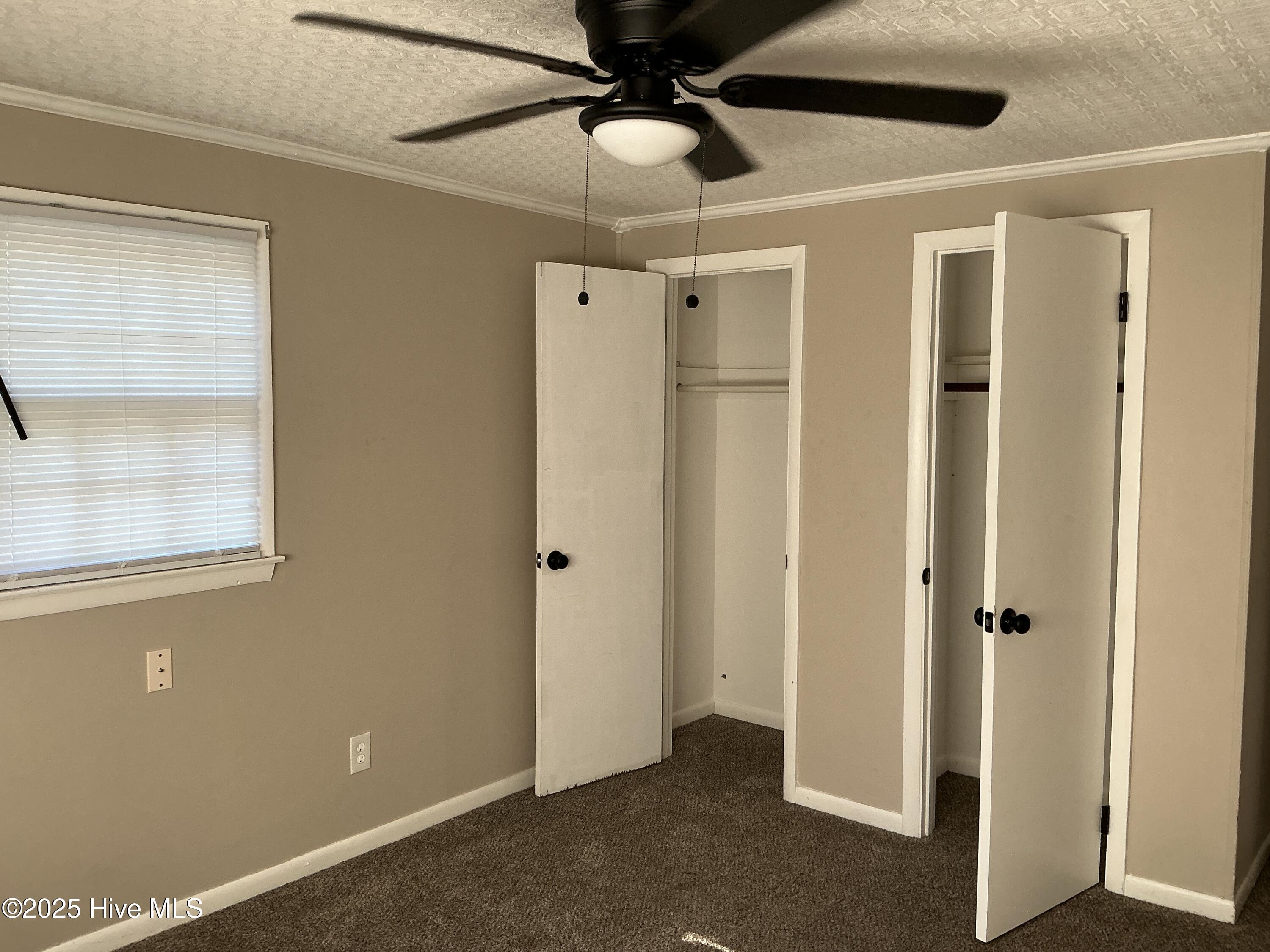 100558727 | Photo 22