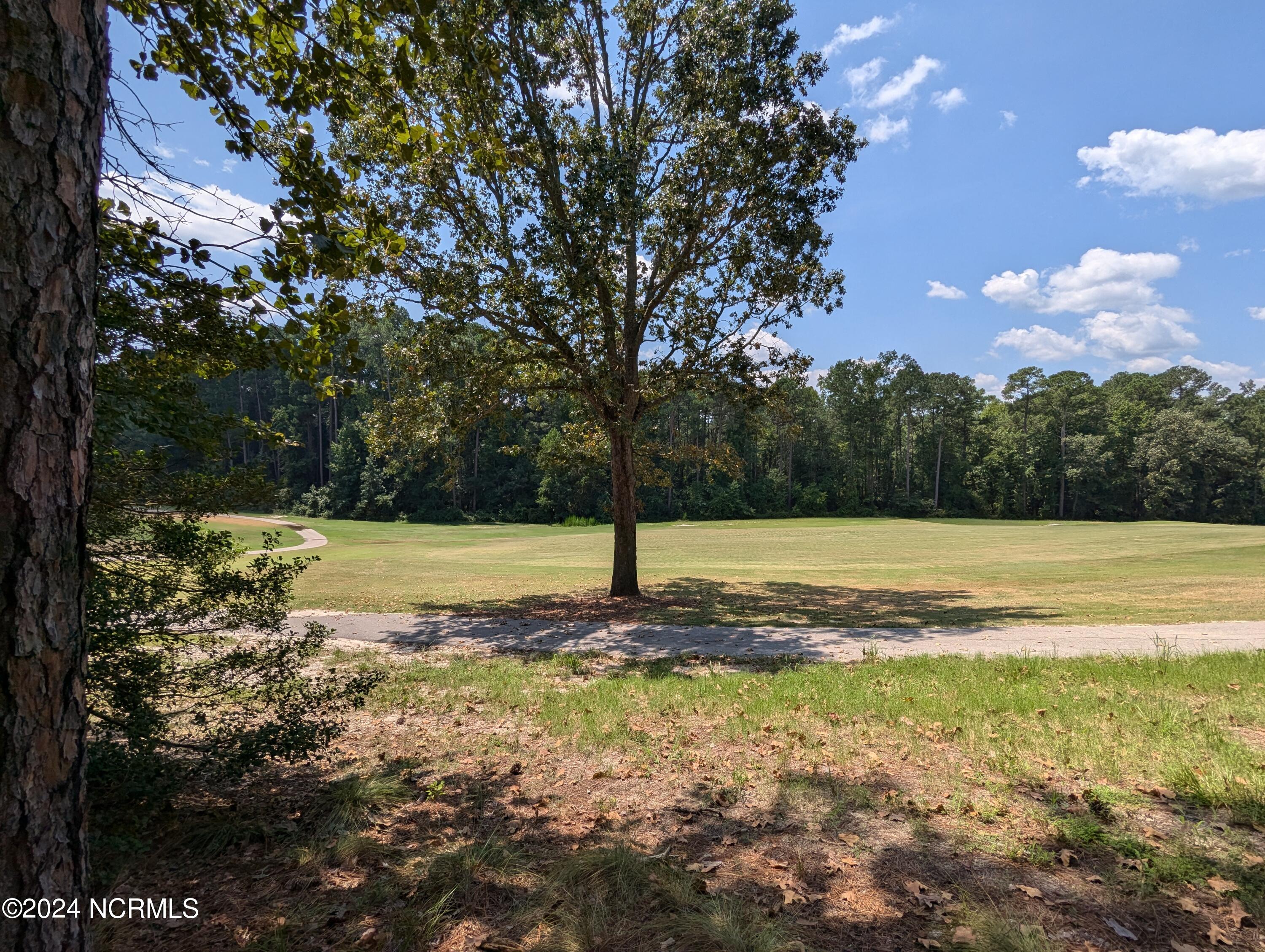 445 Thimbleberry Drive, Vass, NC, 28394