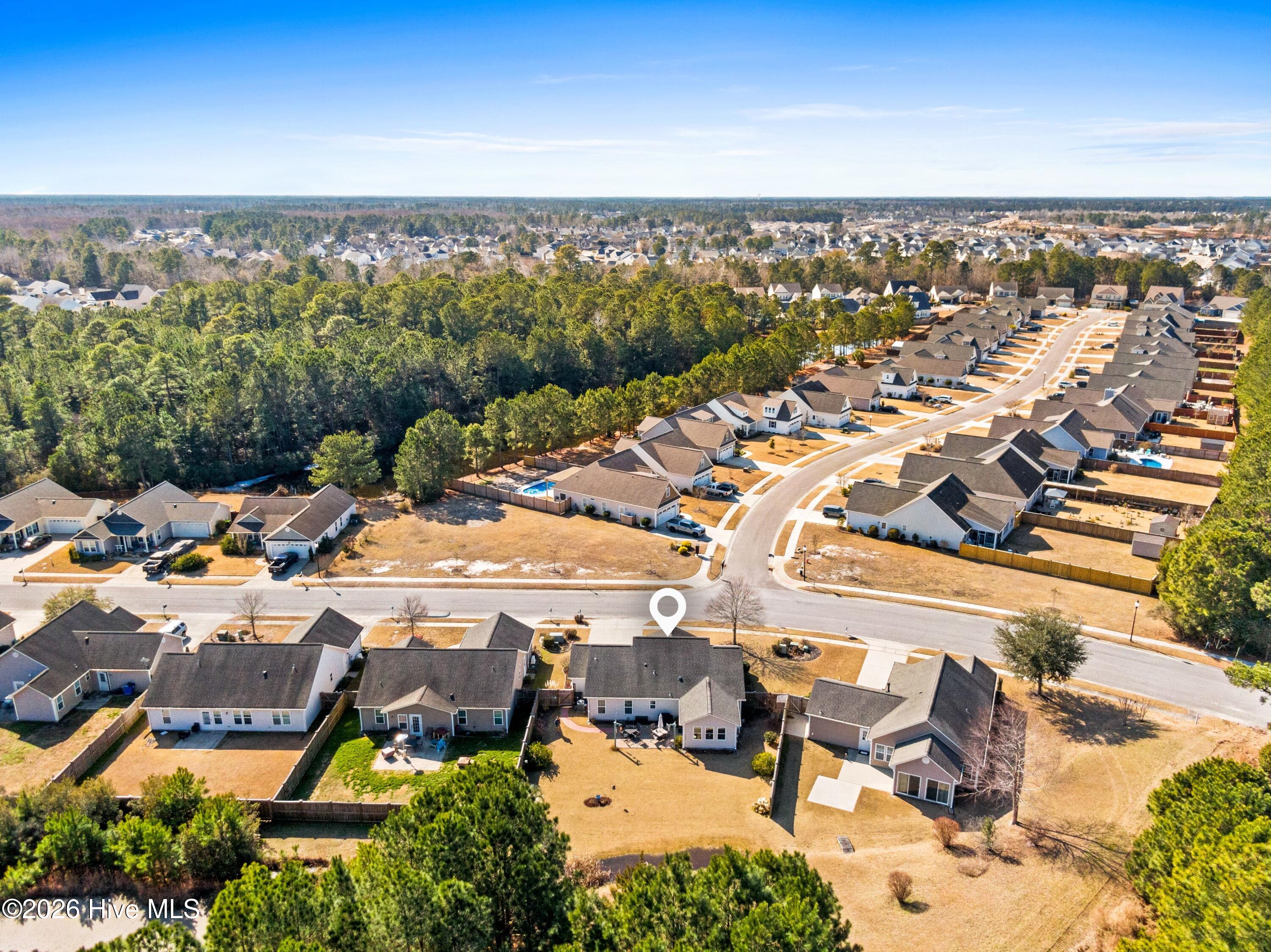 100554021 | Photo 37