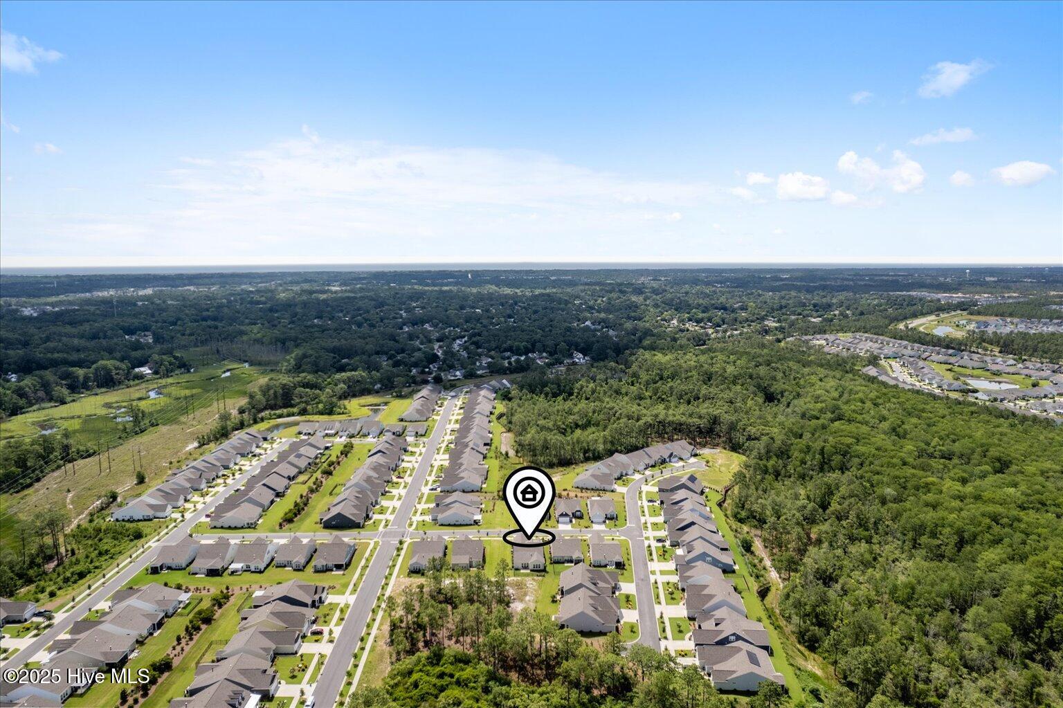 100513881 | Photo 51