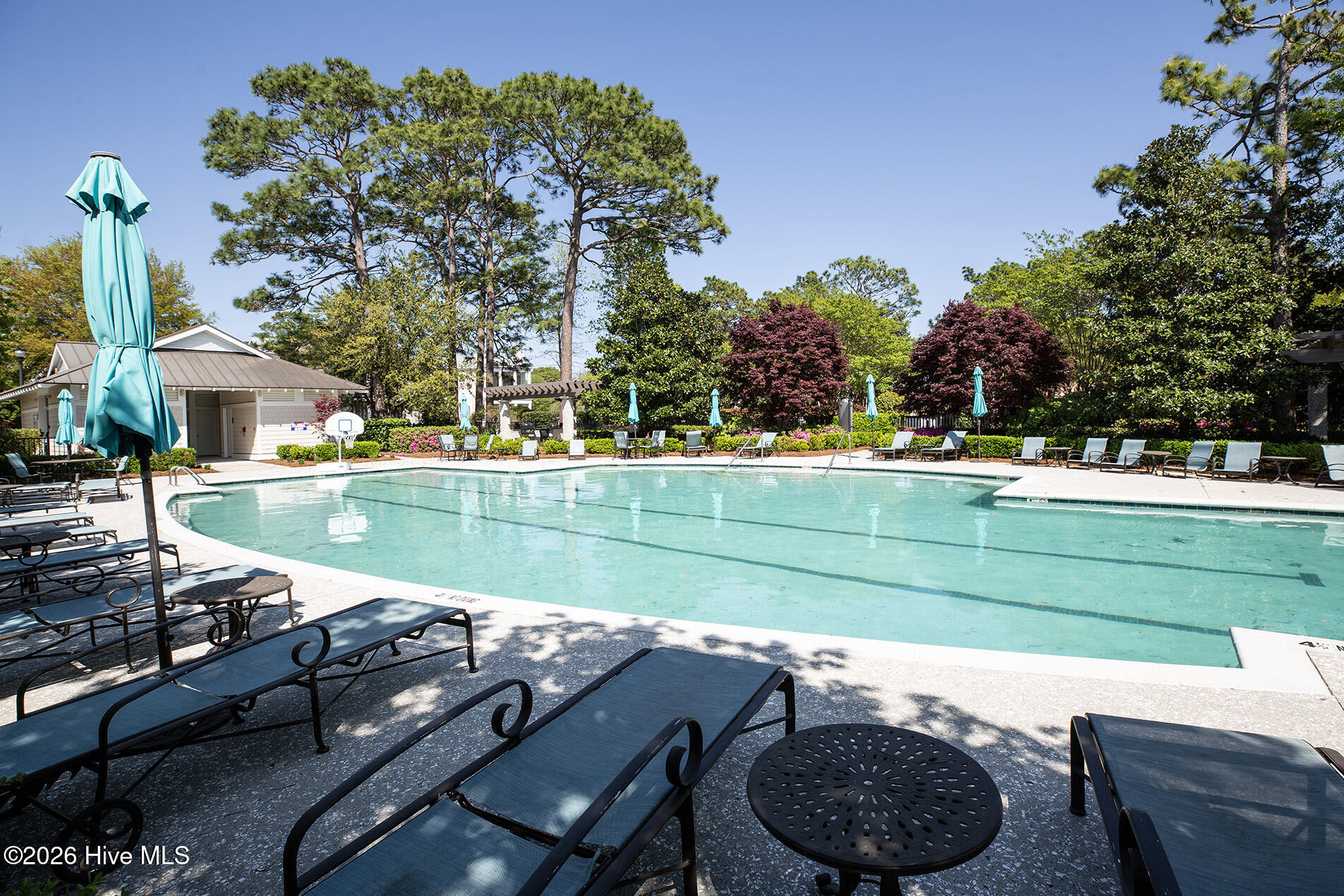 100563719 | Photo 65