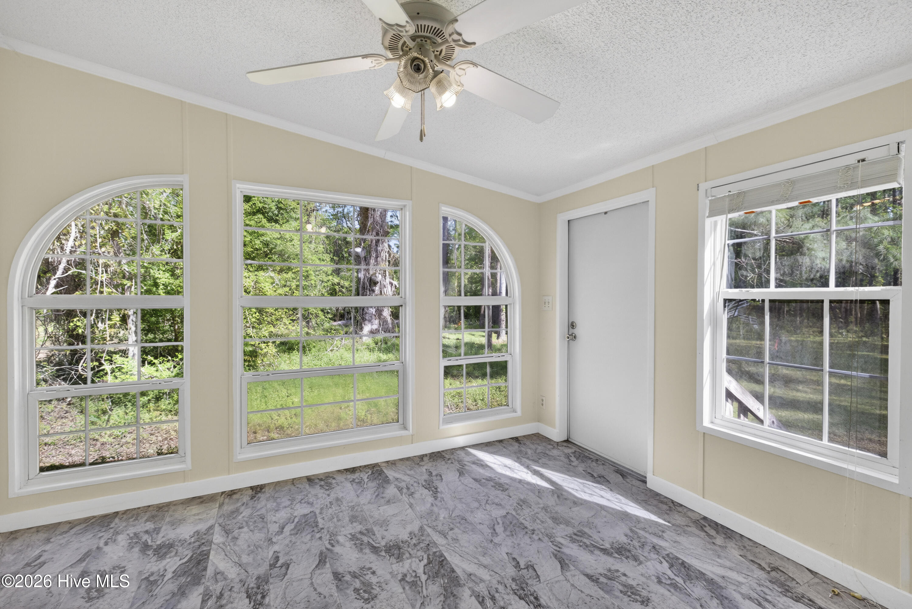 100566383 | Photo 14