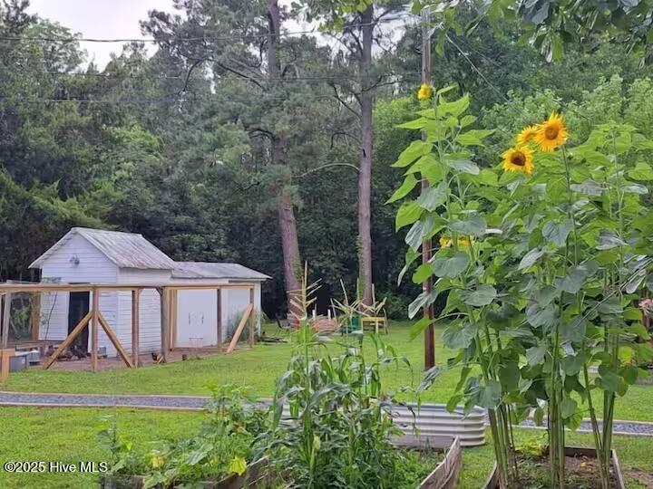 100557856 | Photo 15