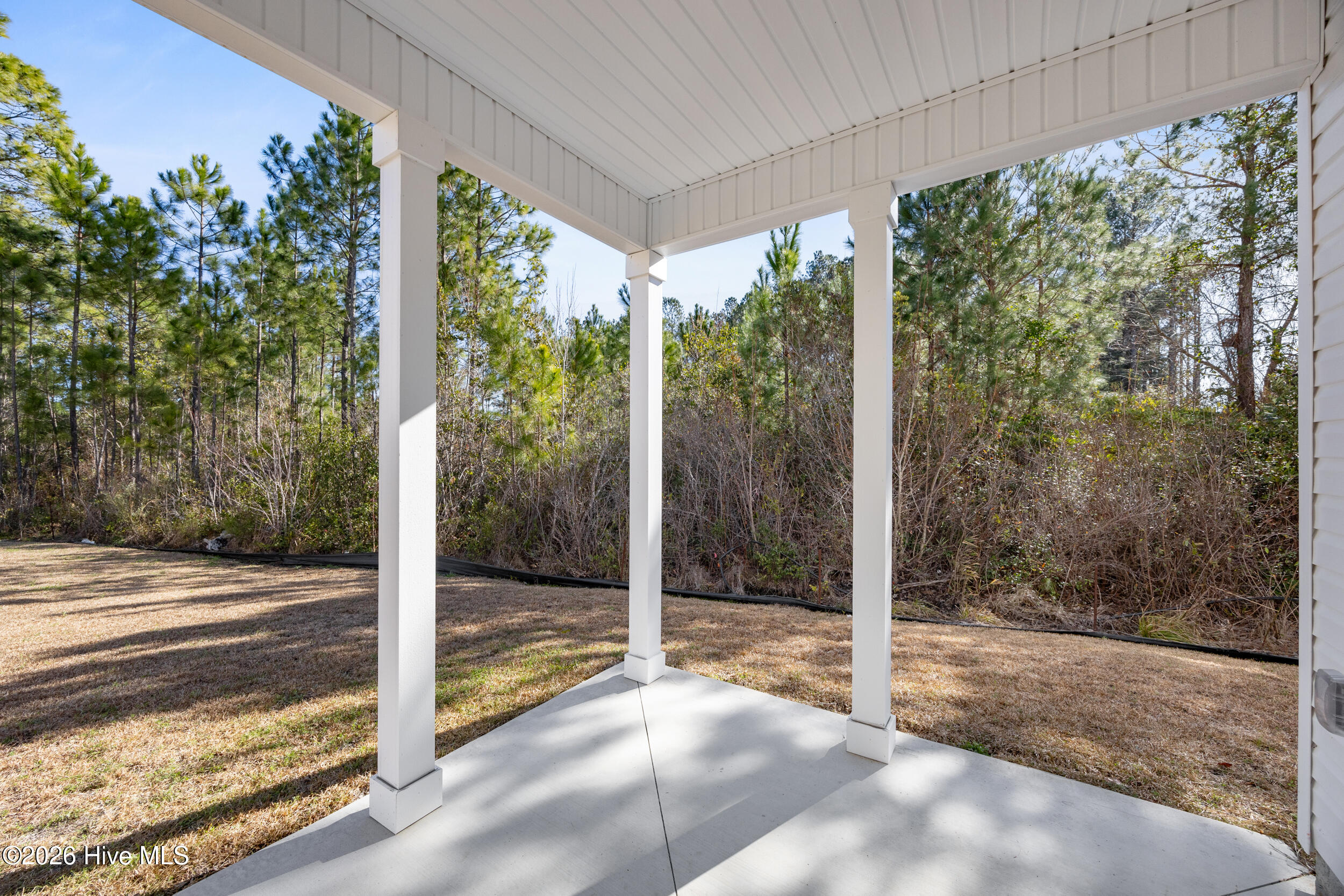 100557610 | Photo 36