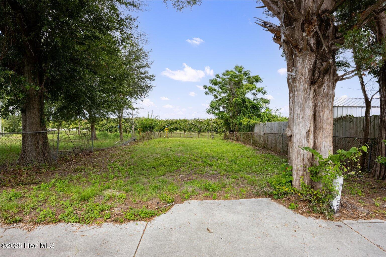 100519890 | Photo 12