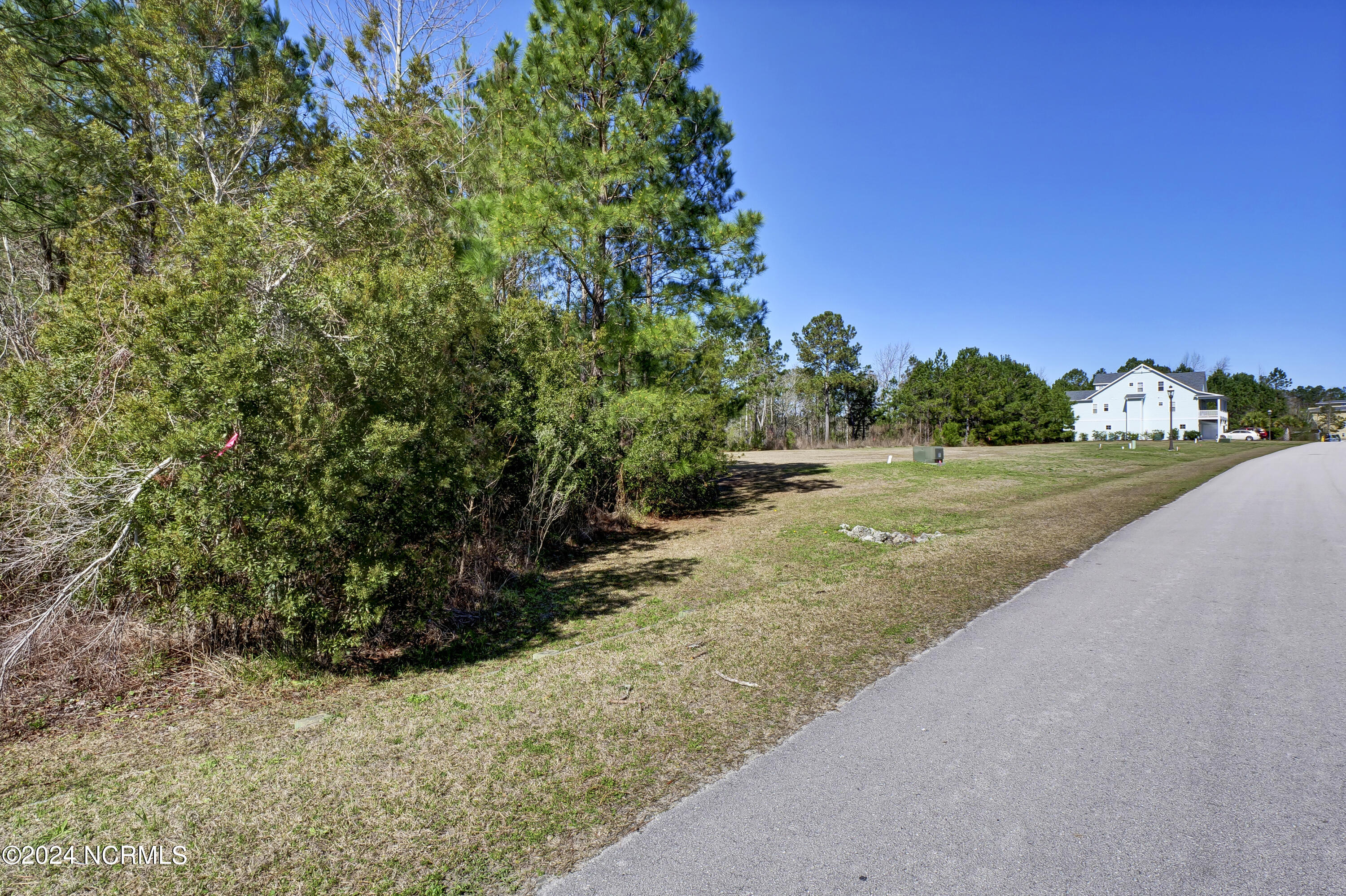 100559912 | Photo 12