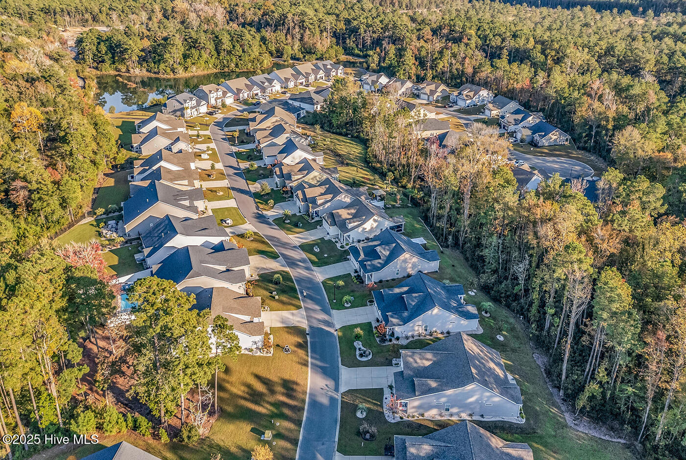 100539654 | Photo 56