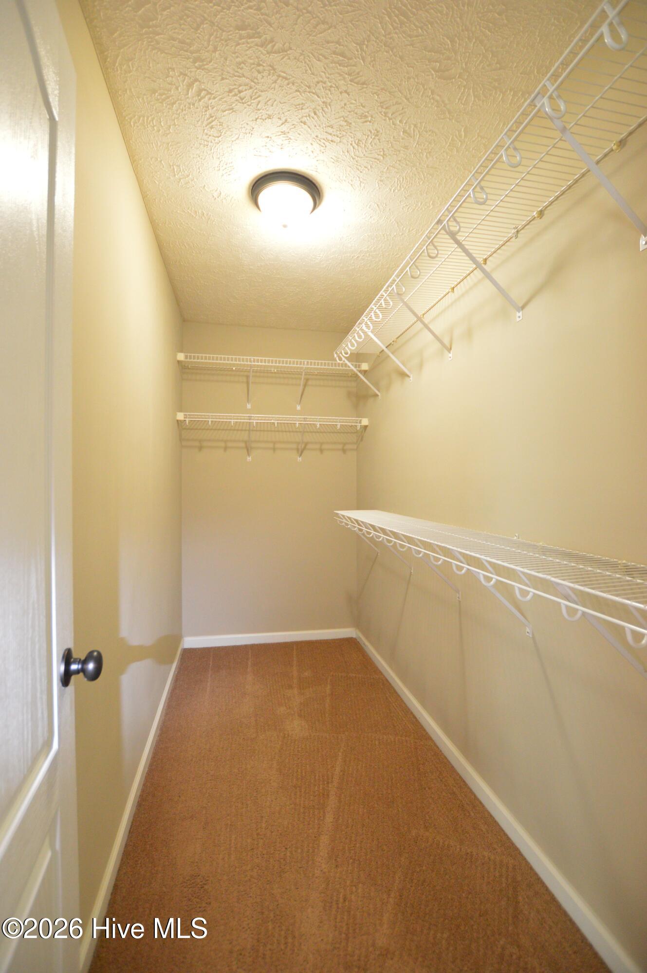 100552765 | Photo 15