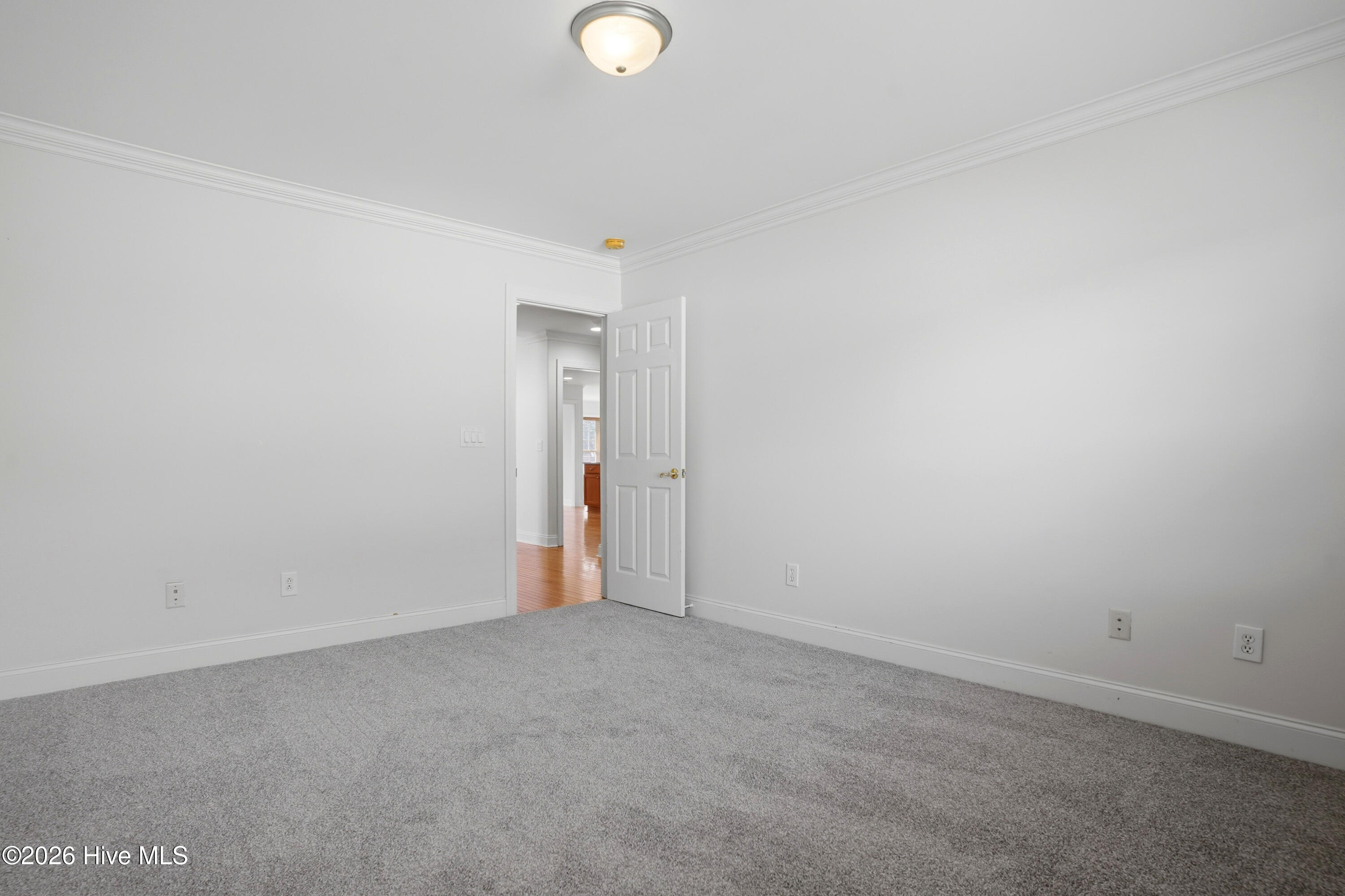 100562677 | Photo 28