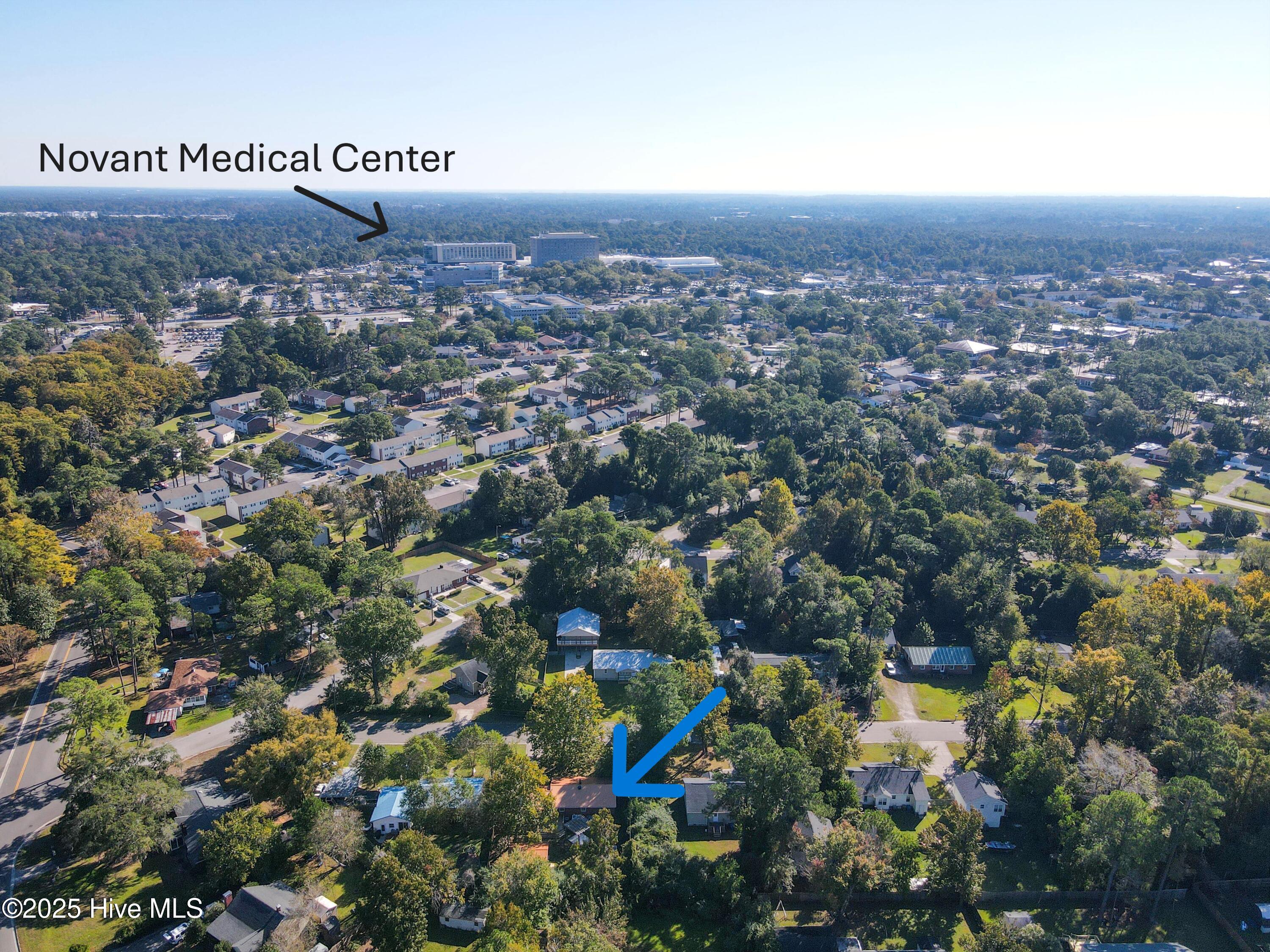 100537869 | Photo 79