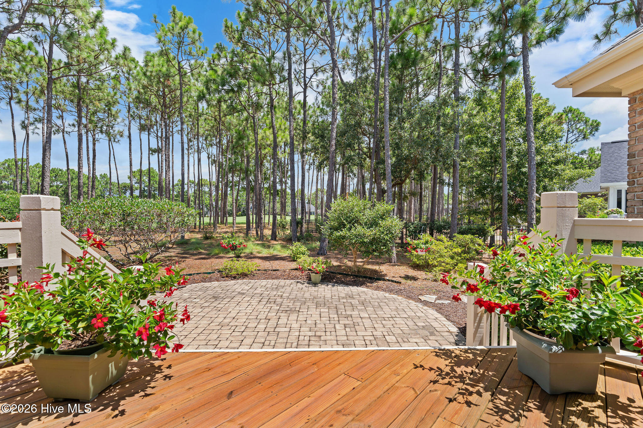 100548545 | Photo 17