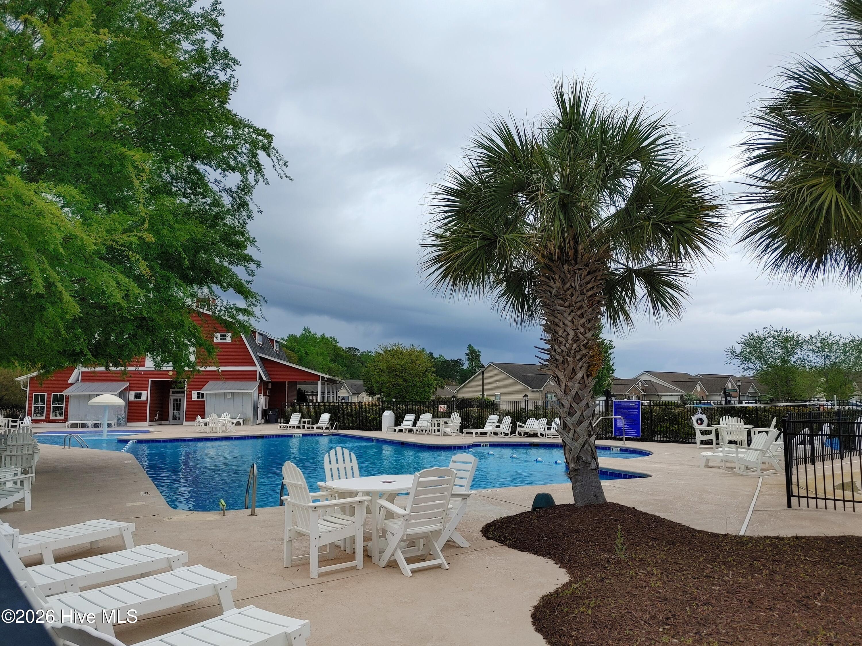 100558240 | Photo 48