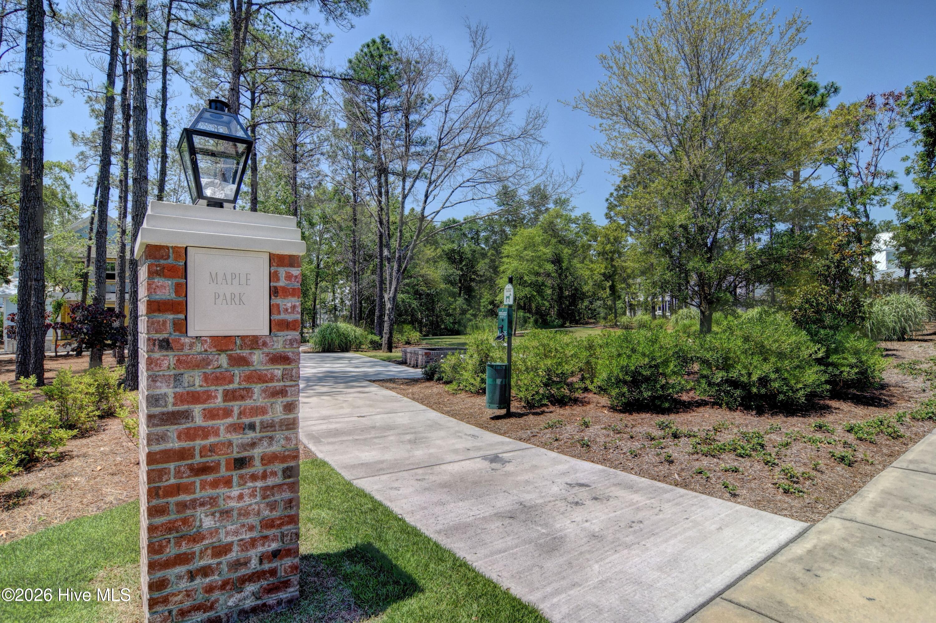 100549123 | Photo 50