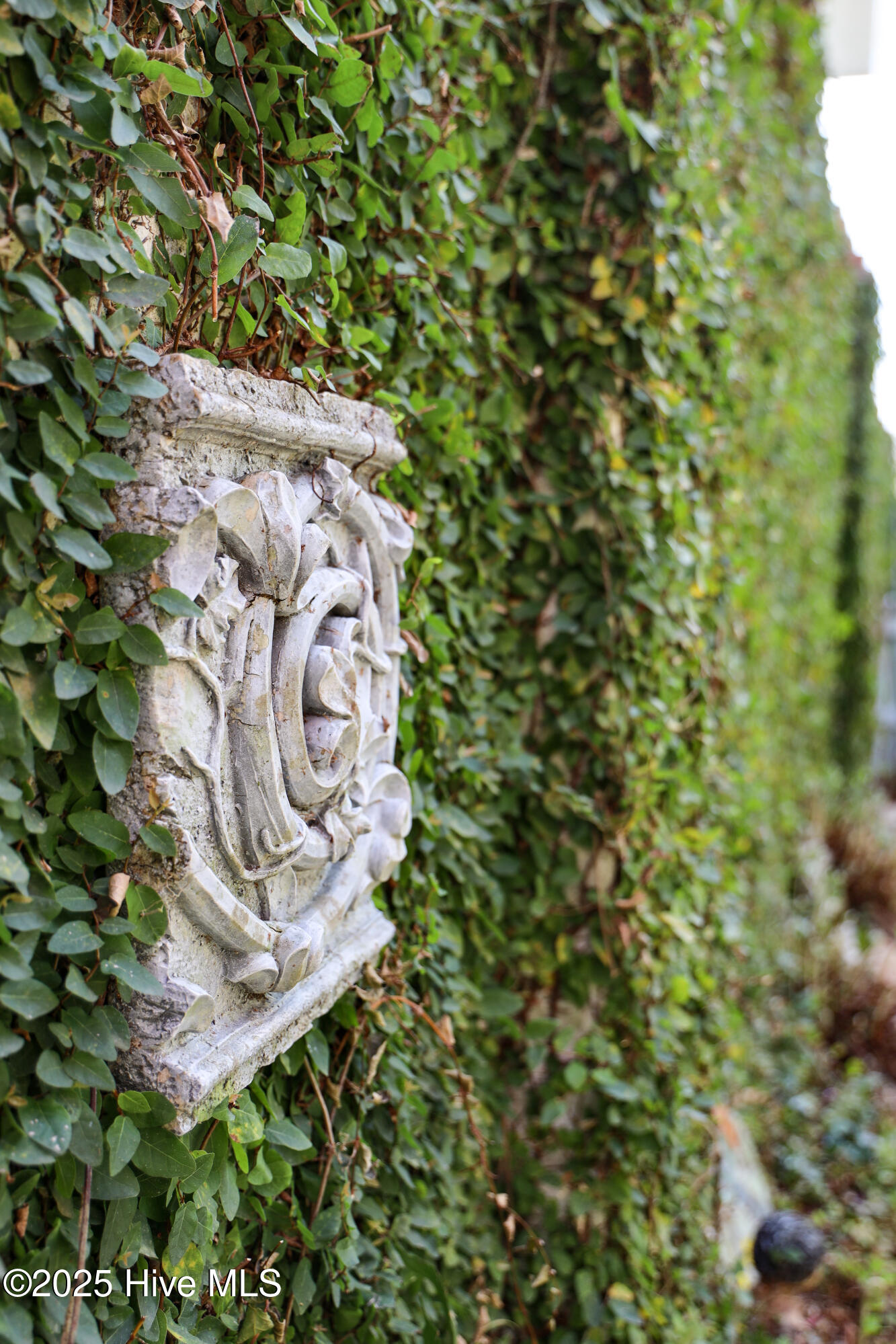 100501936 | Photo 87