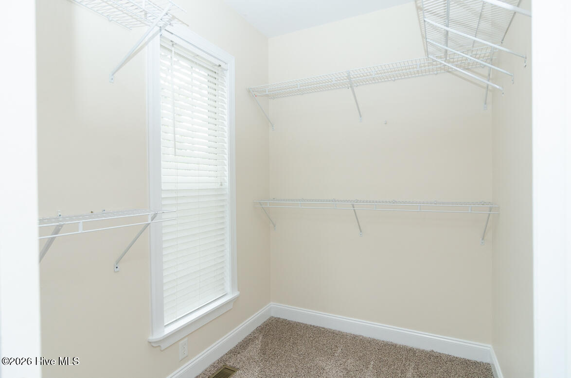 100556444 | Photo 15