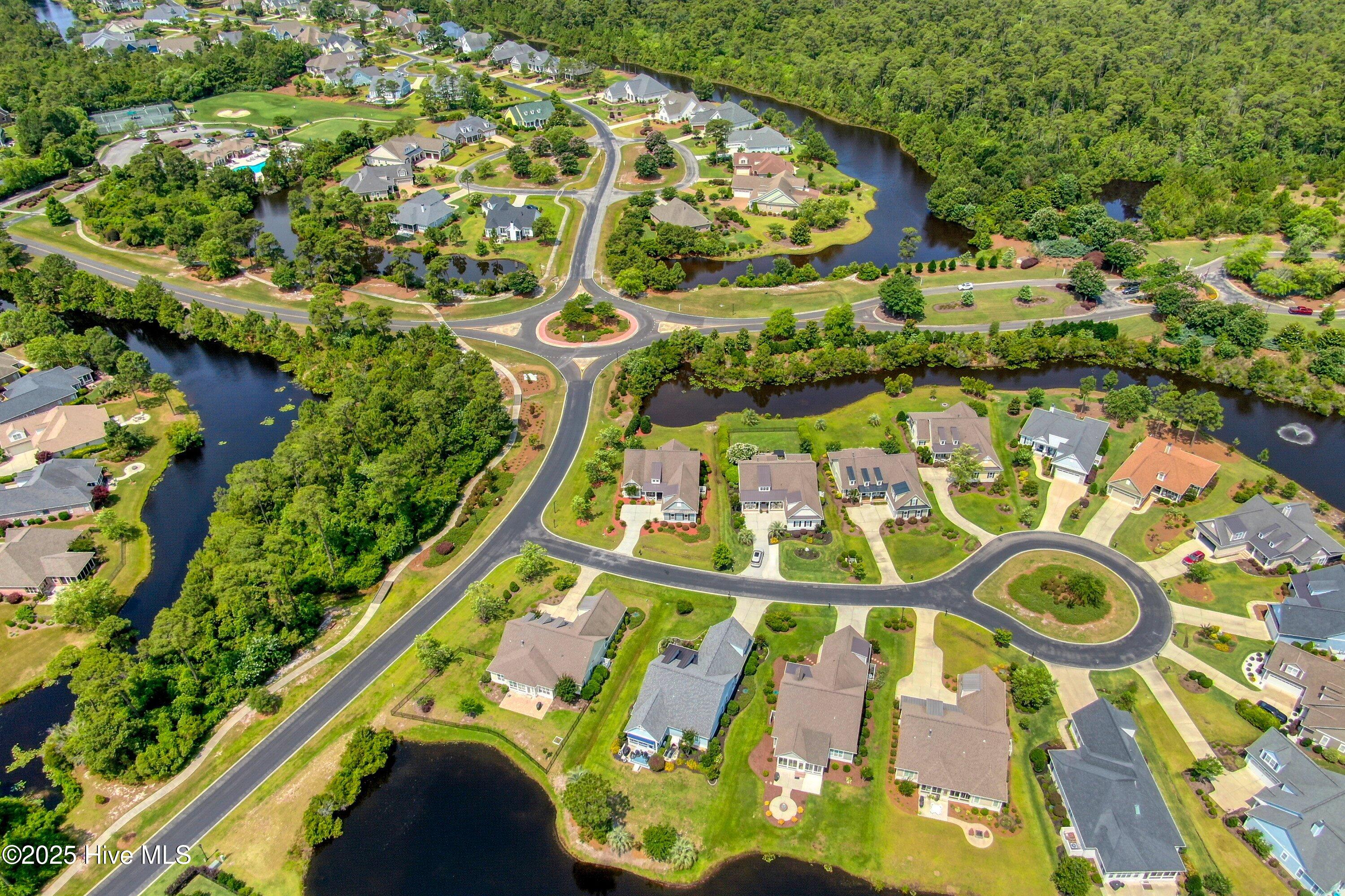 100553143 | Photo 41