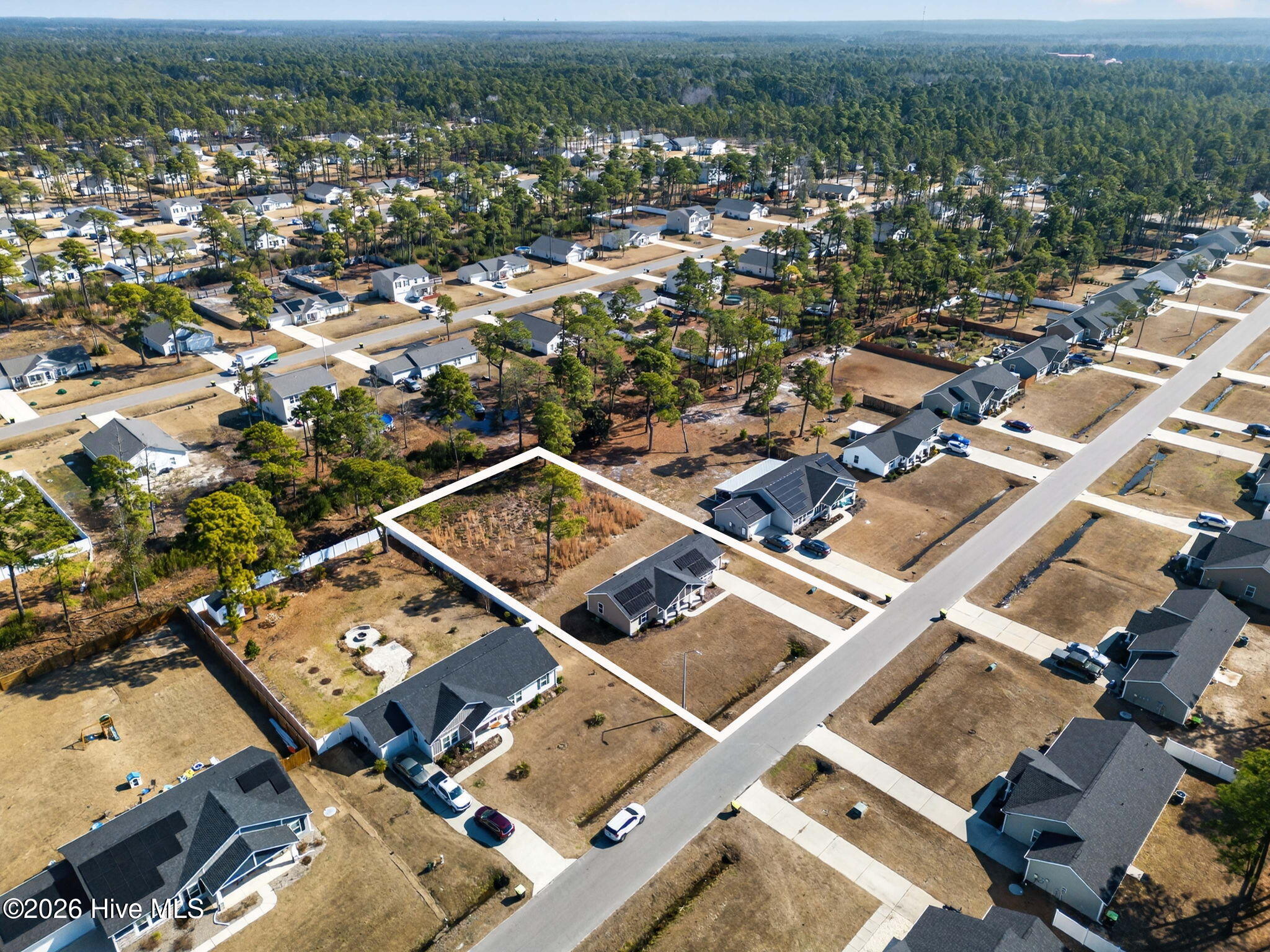 100553620 | Photo 41