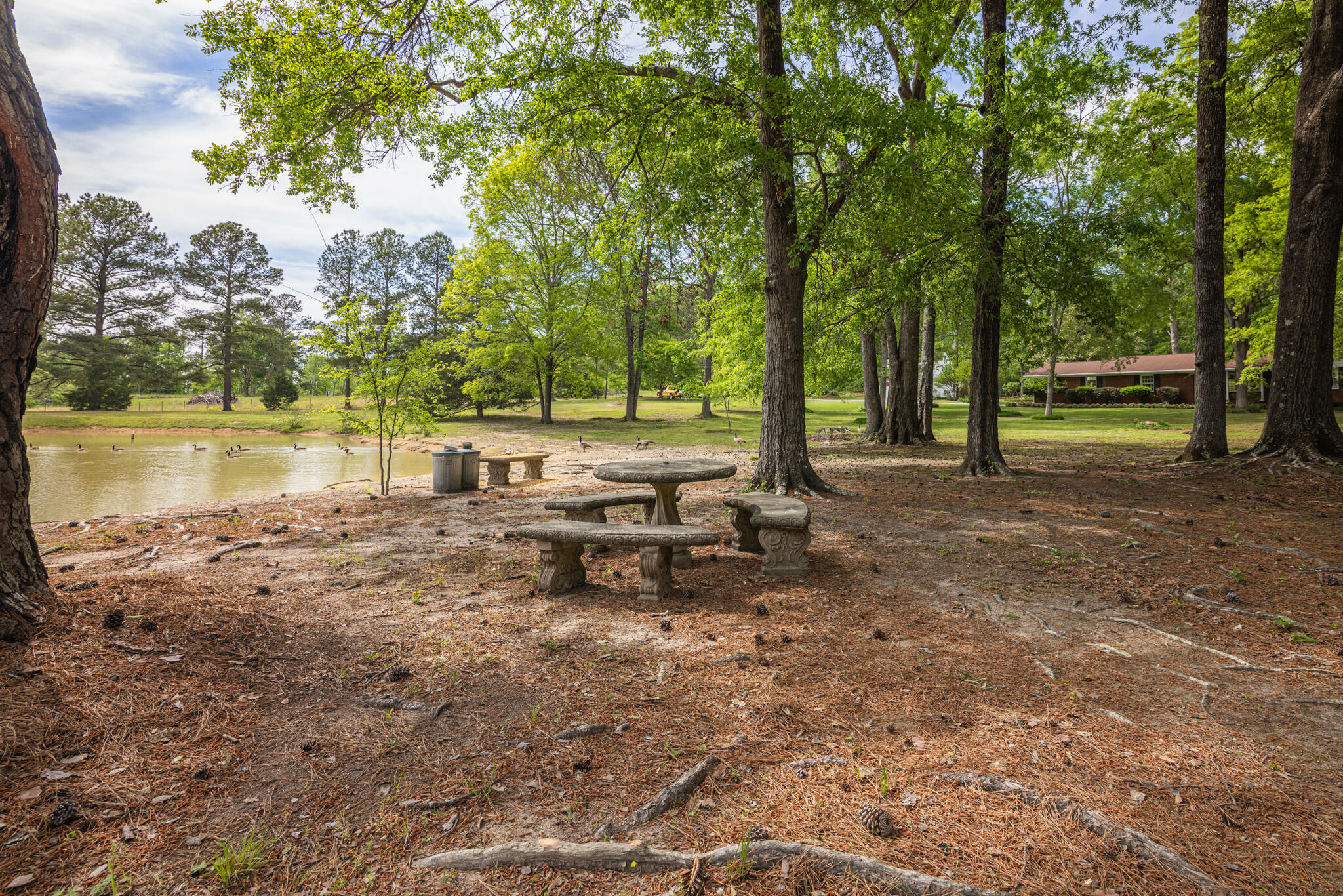 13-6521 Stranford Road-62
