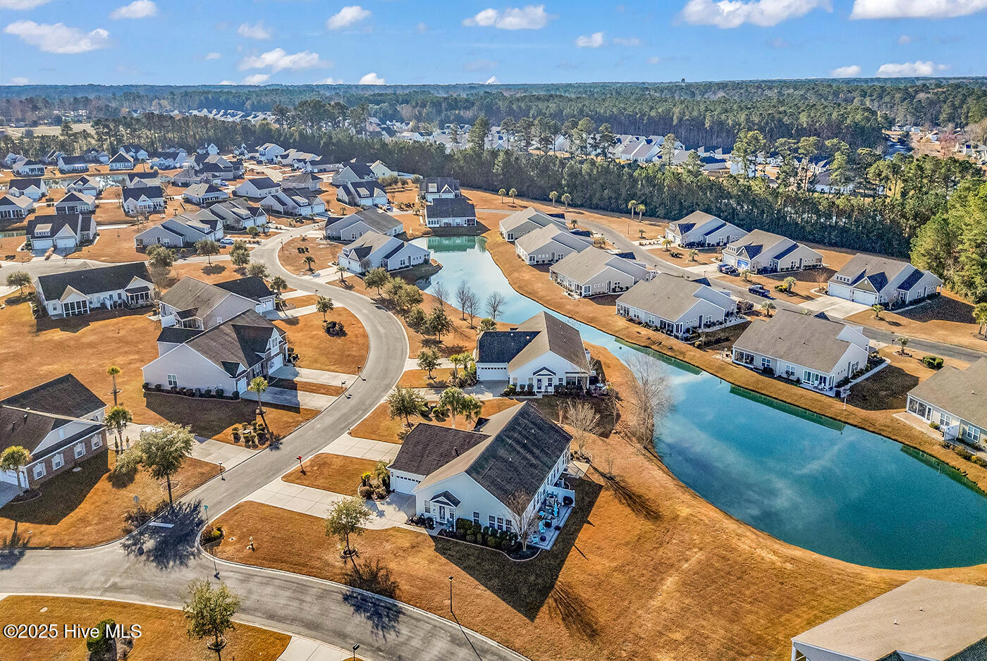 100545538 | Photo 41