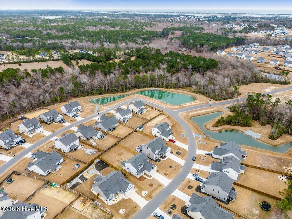 100558319 | Photo 32