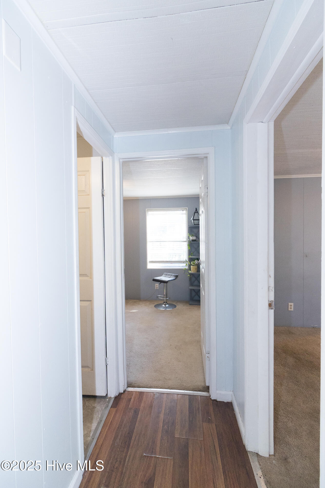 100545695 | Photo 24