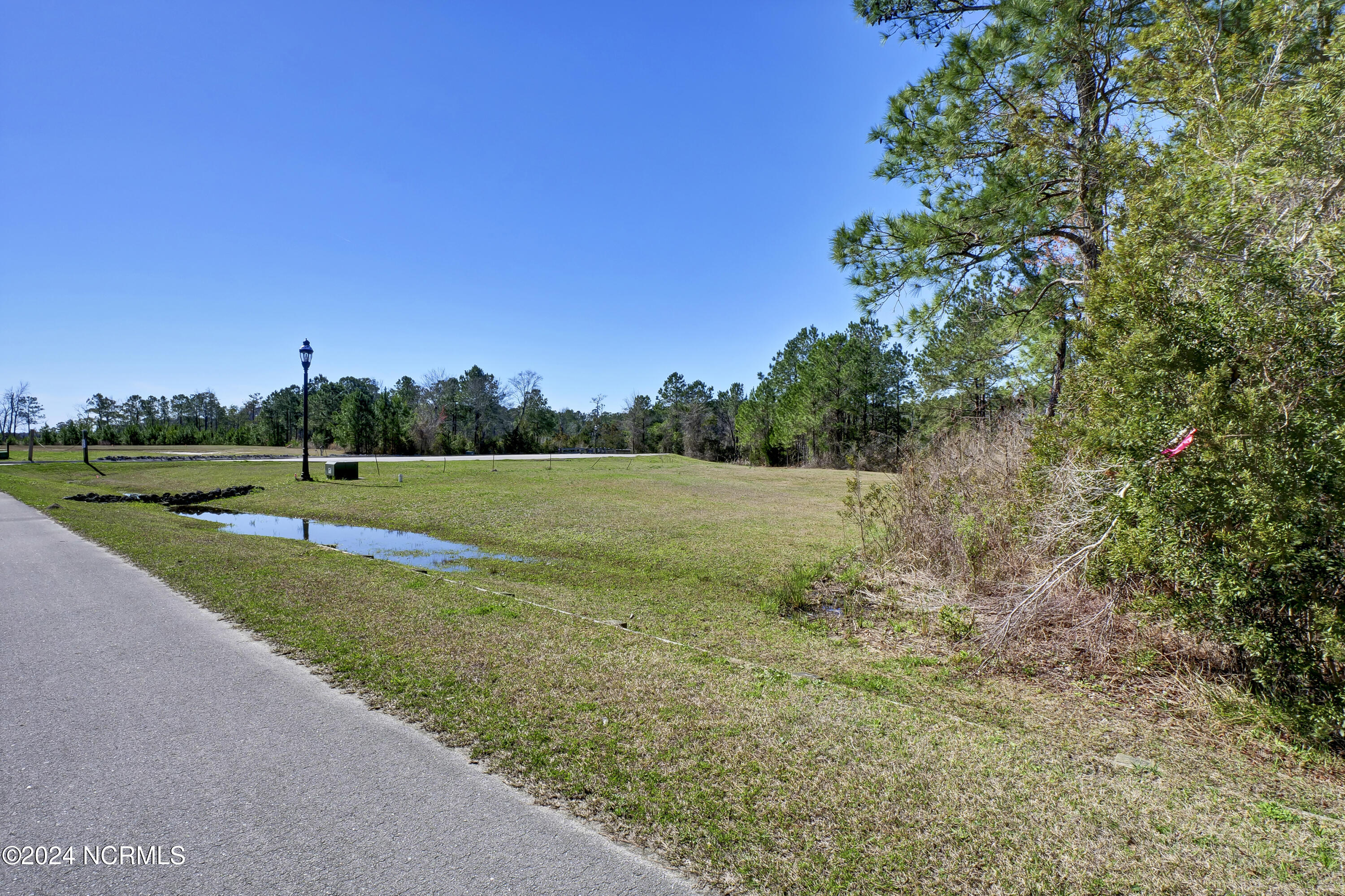 100559909 | Photo 14