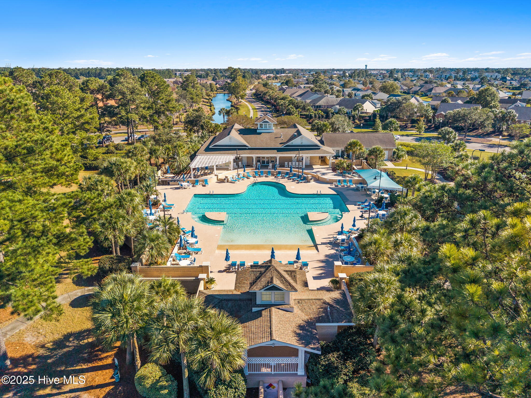 100538091 | Photo 79