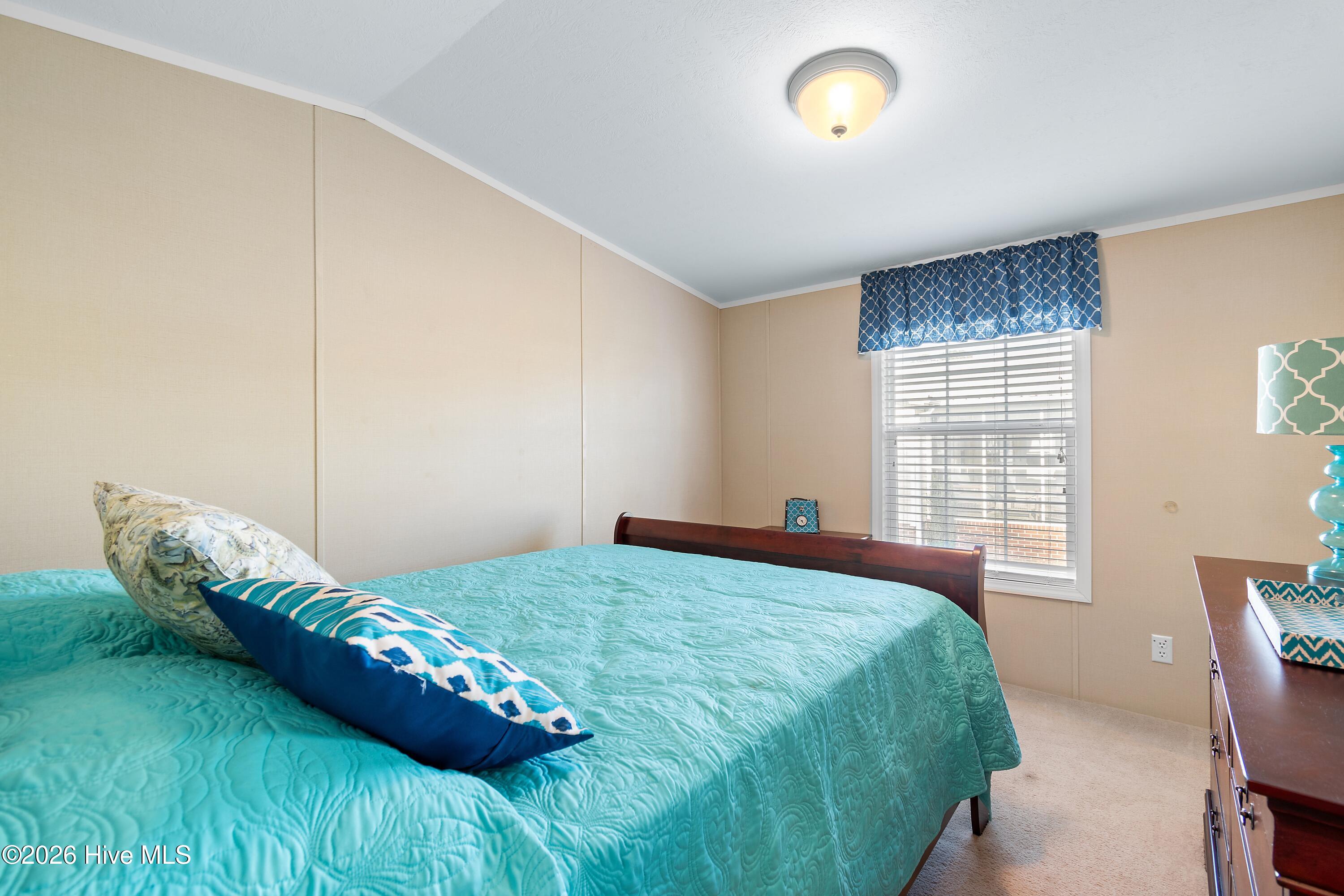 100564695 | Photo 18