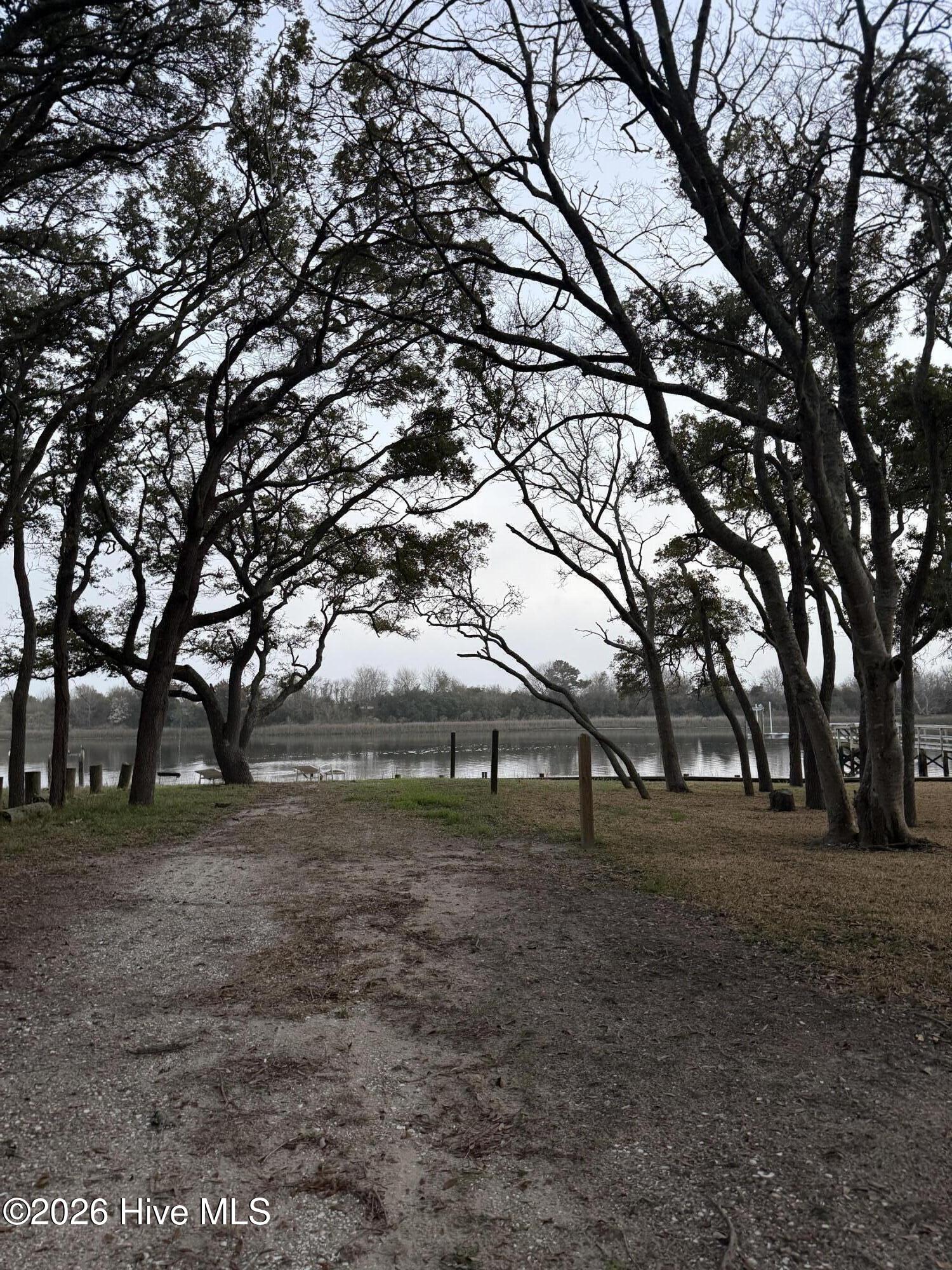 100558789 | Photo 12