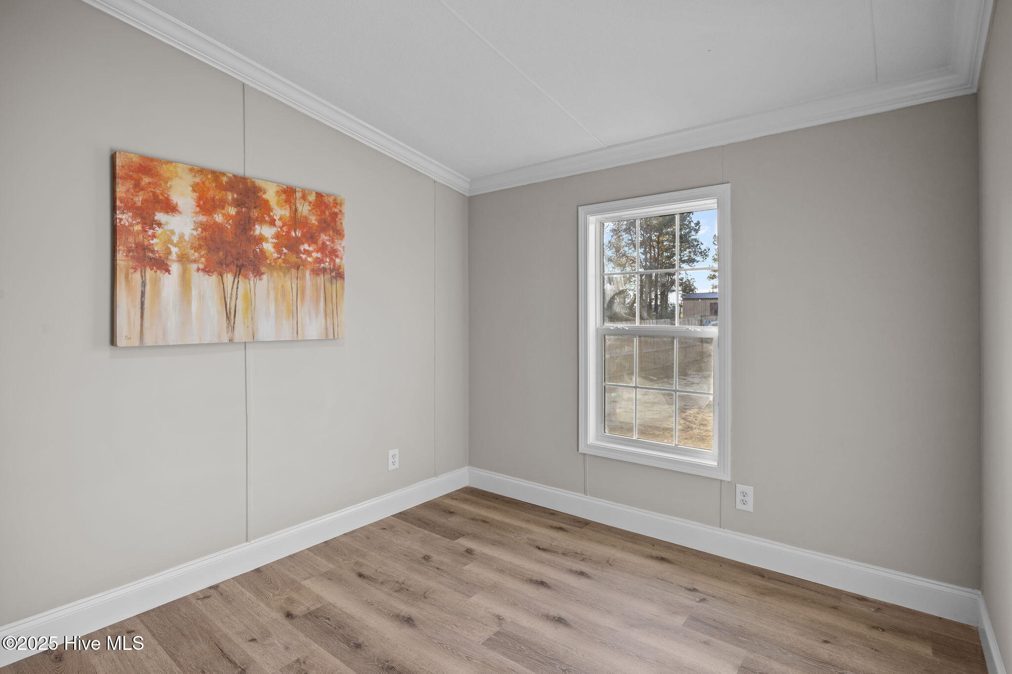 100546418 | Photo 23