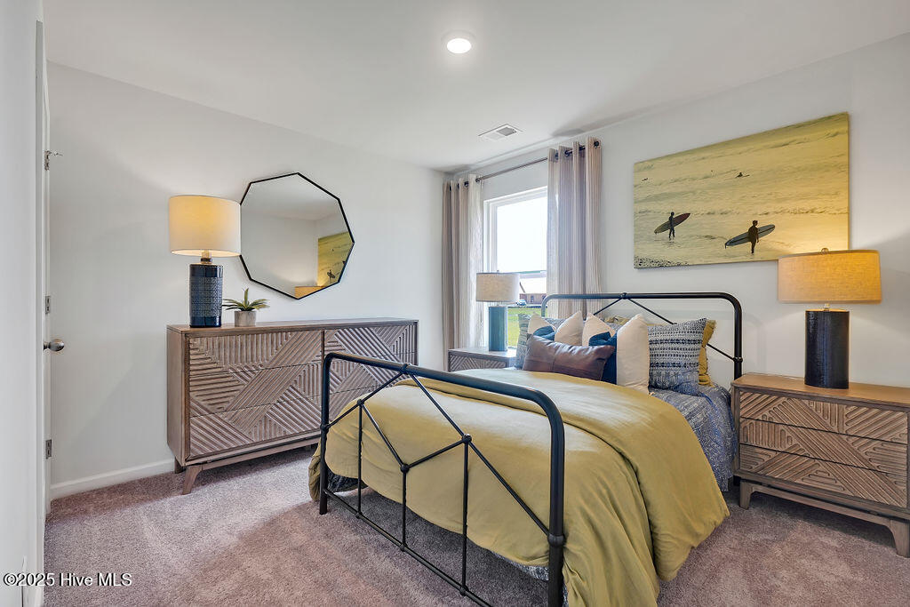 5313 Areca Road Lot 427, Castle Hayne, NC 28429 – photo 7: 6456ZoysiaWay-6