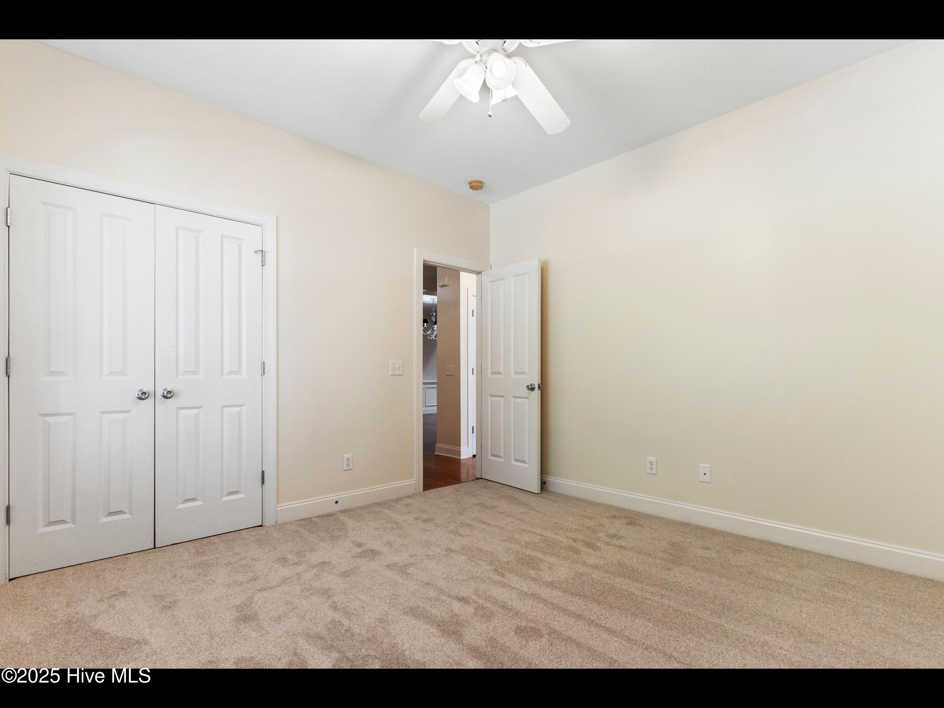 100509551 | Photo 24